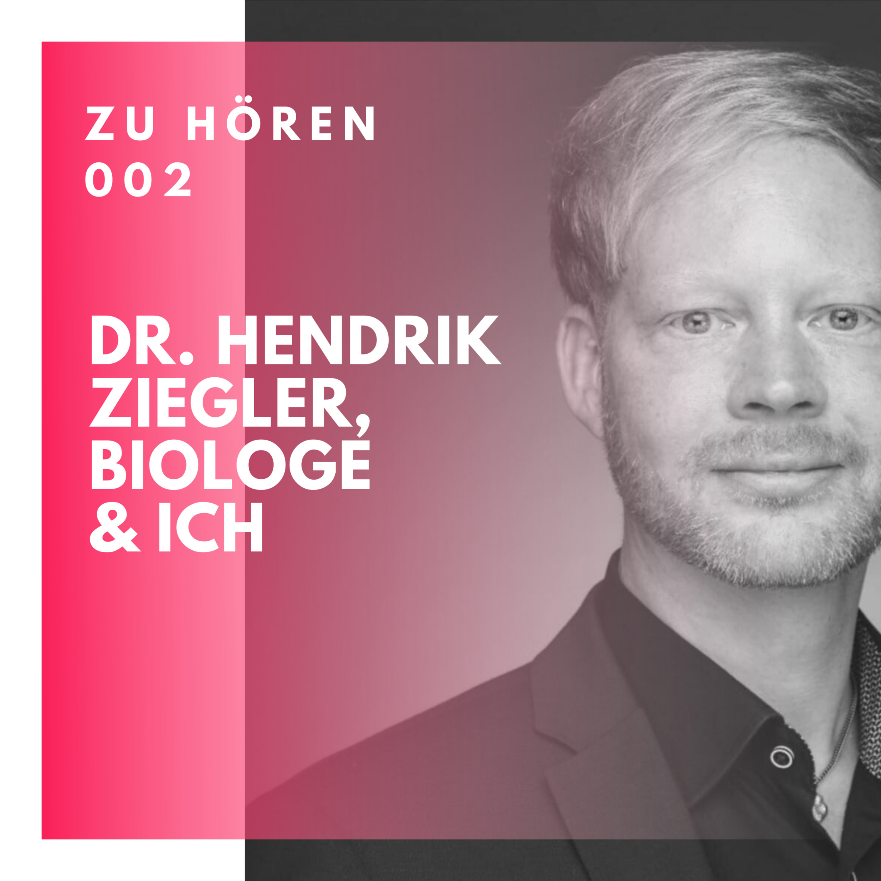 ZU HOEREN