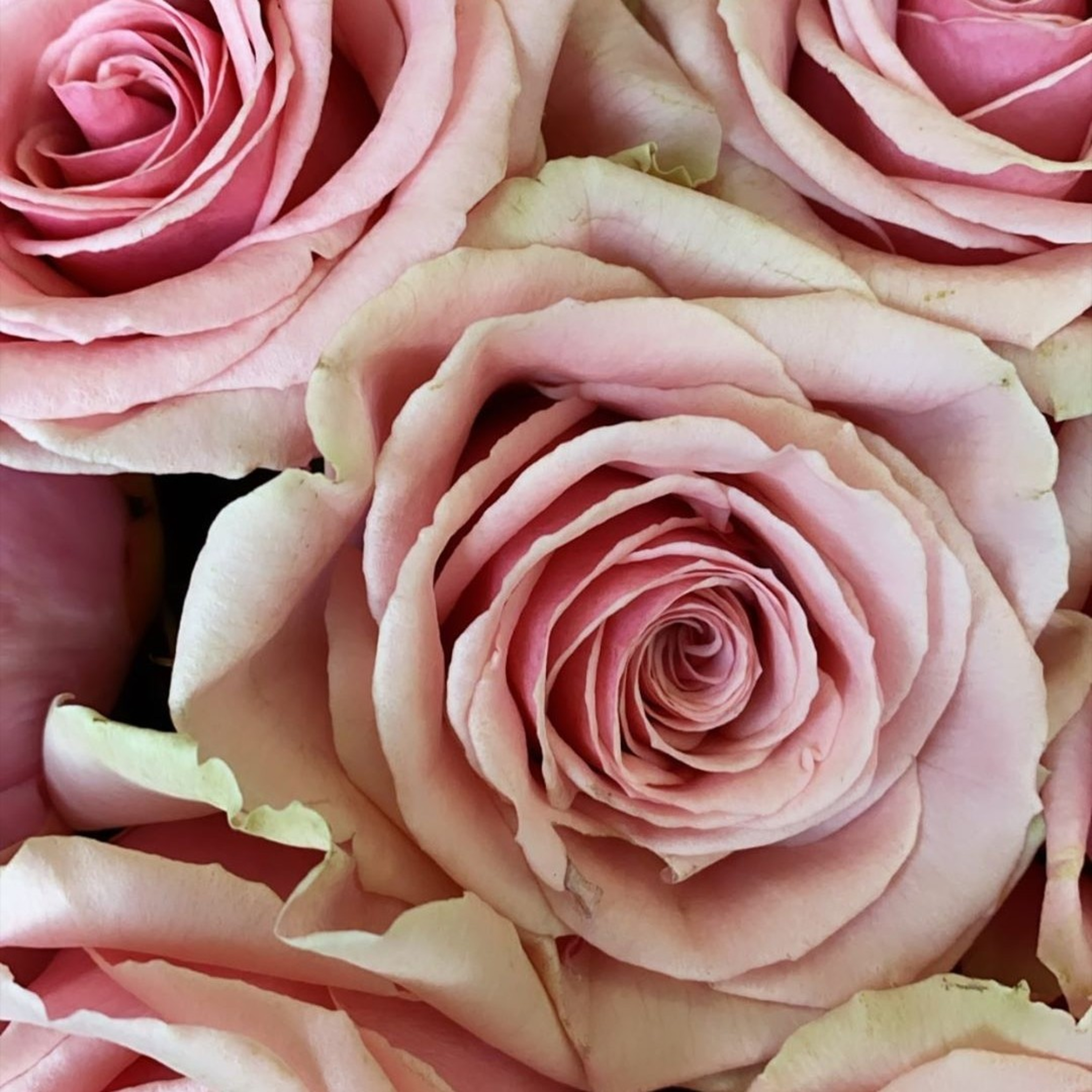 Fleurtata