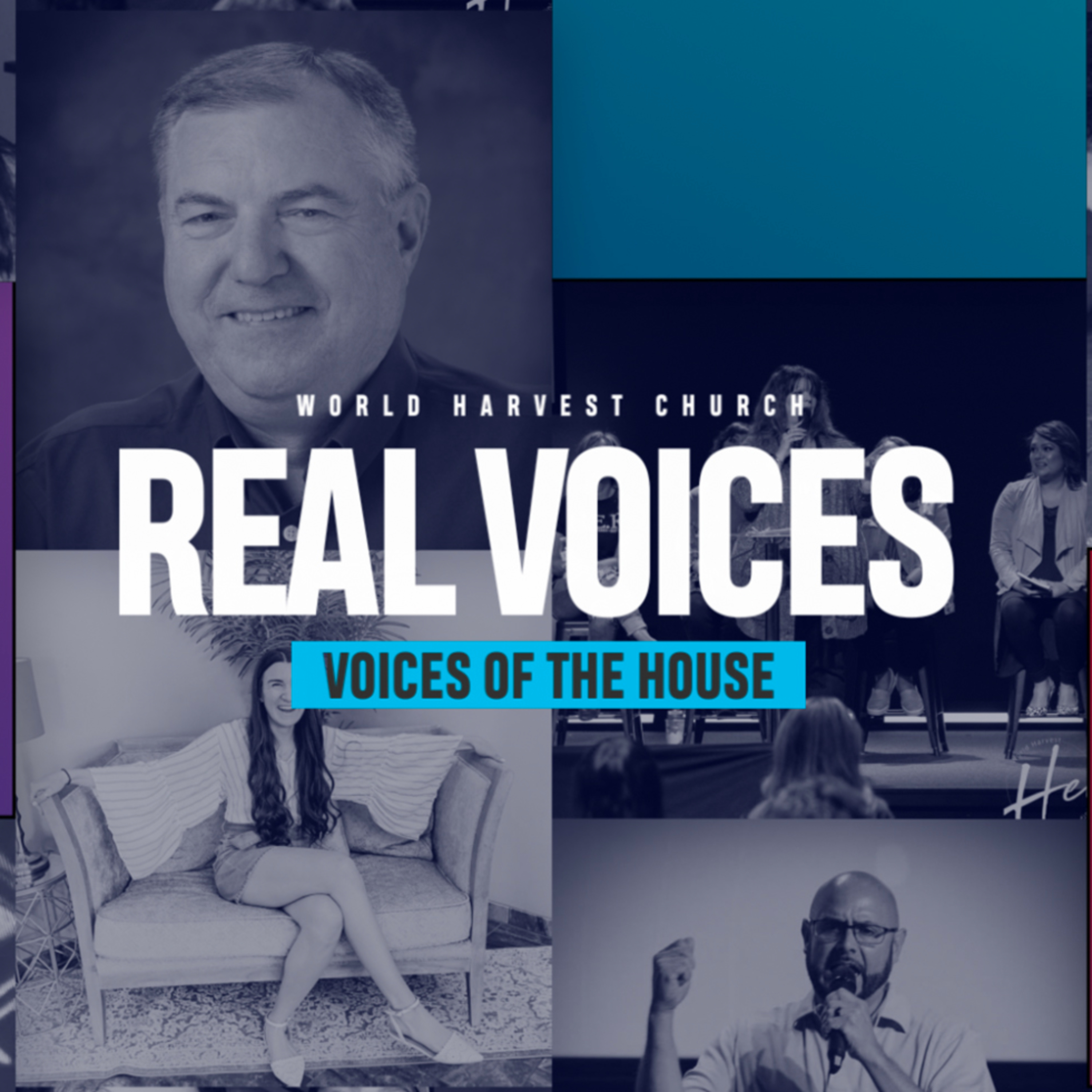 Real Voices - Bud Laubach