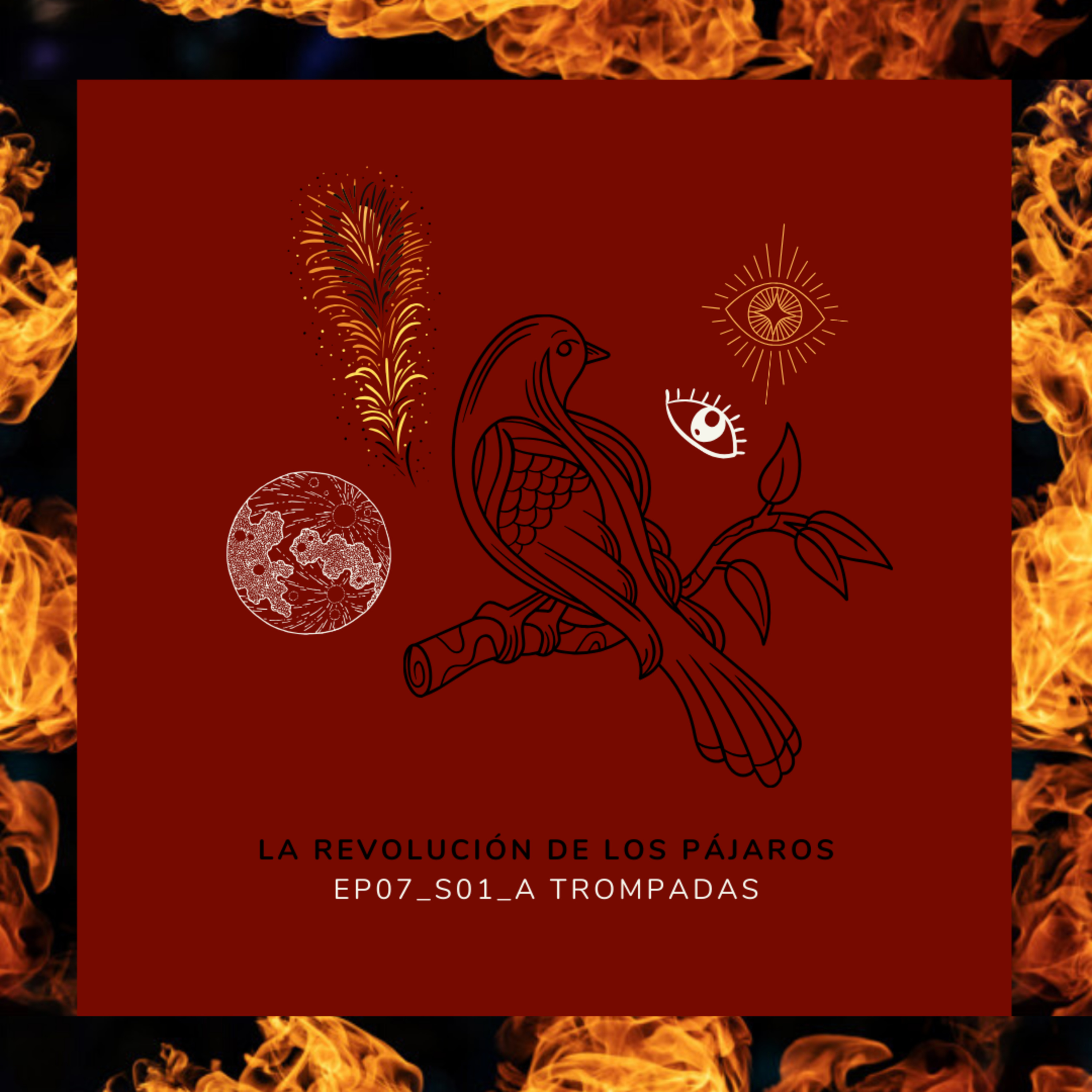 La Revolución de los Pájaros