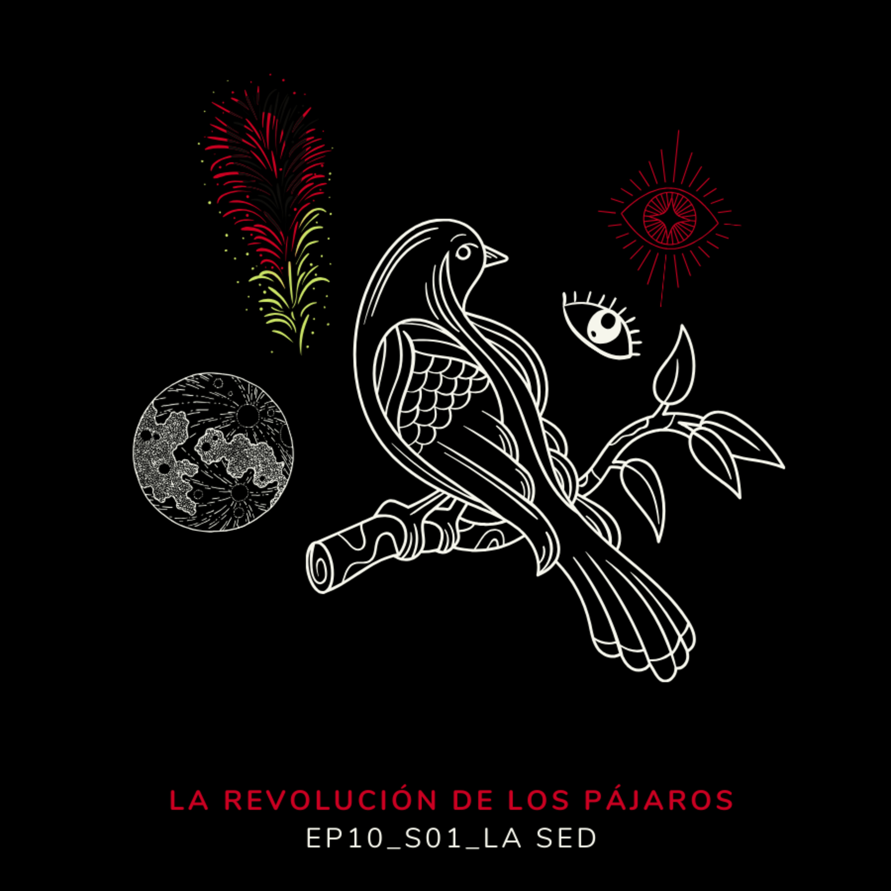 La Revolución de los Pájaros