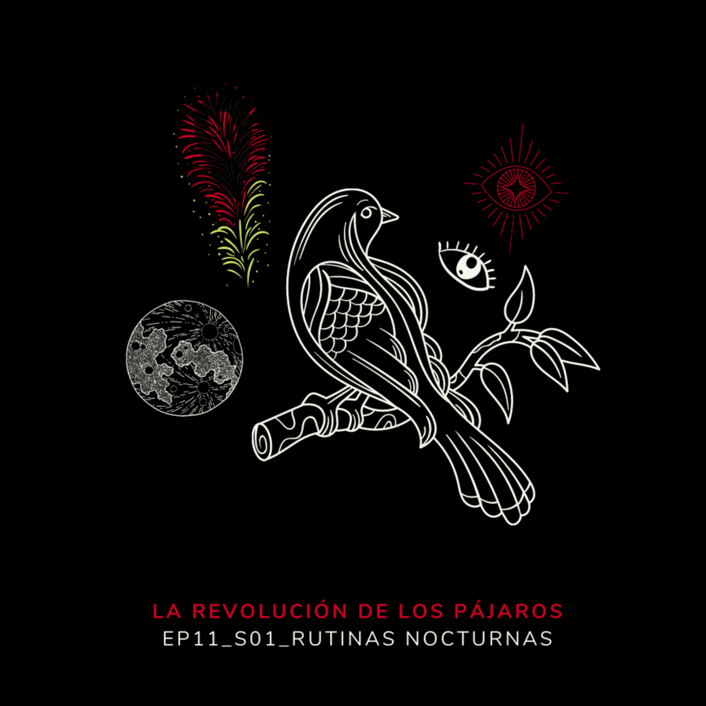 La Revolución de los Pájaros