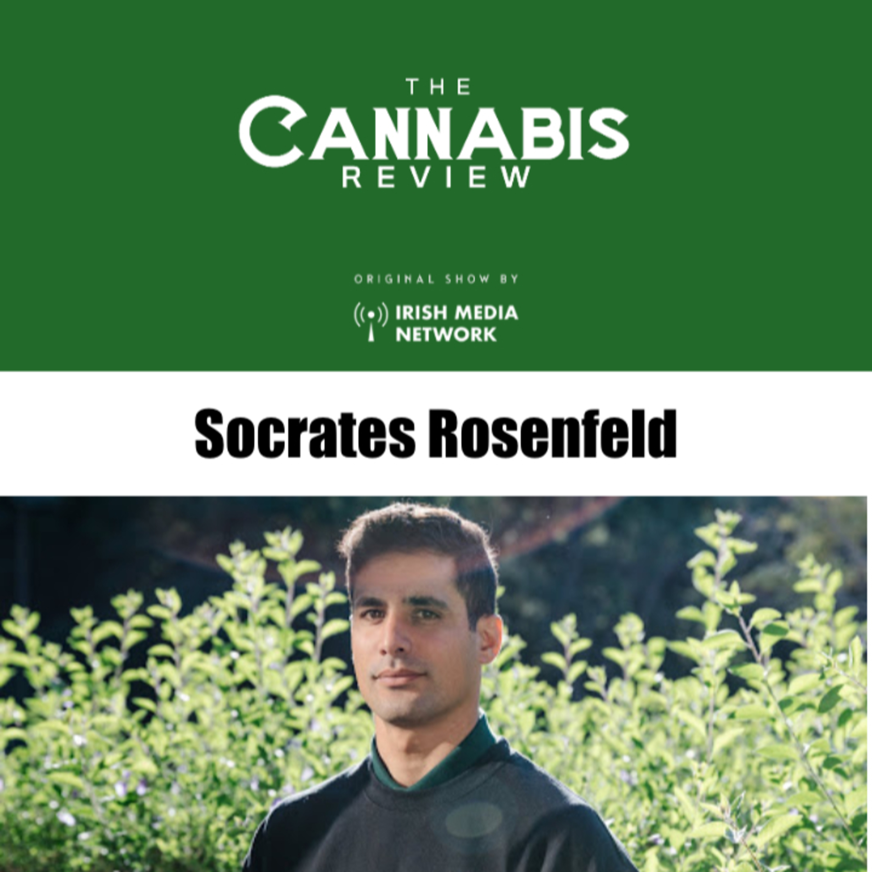 The Cannabis Review