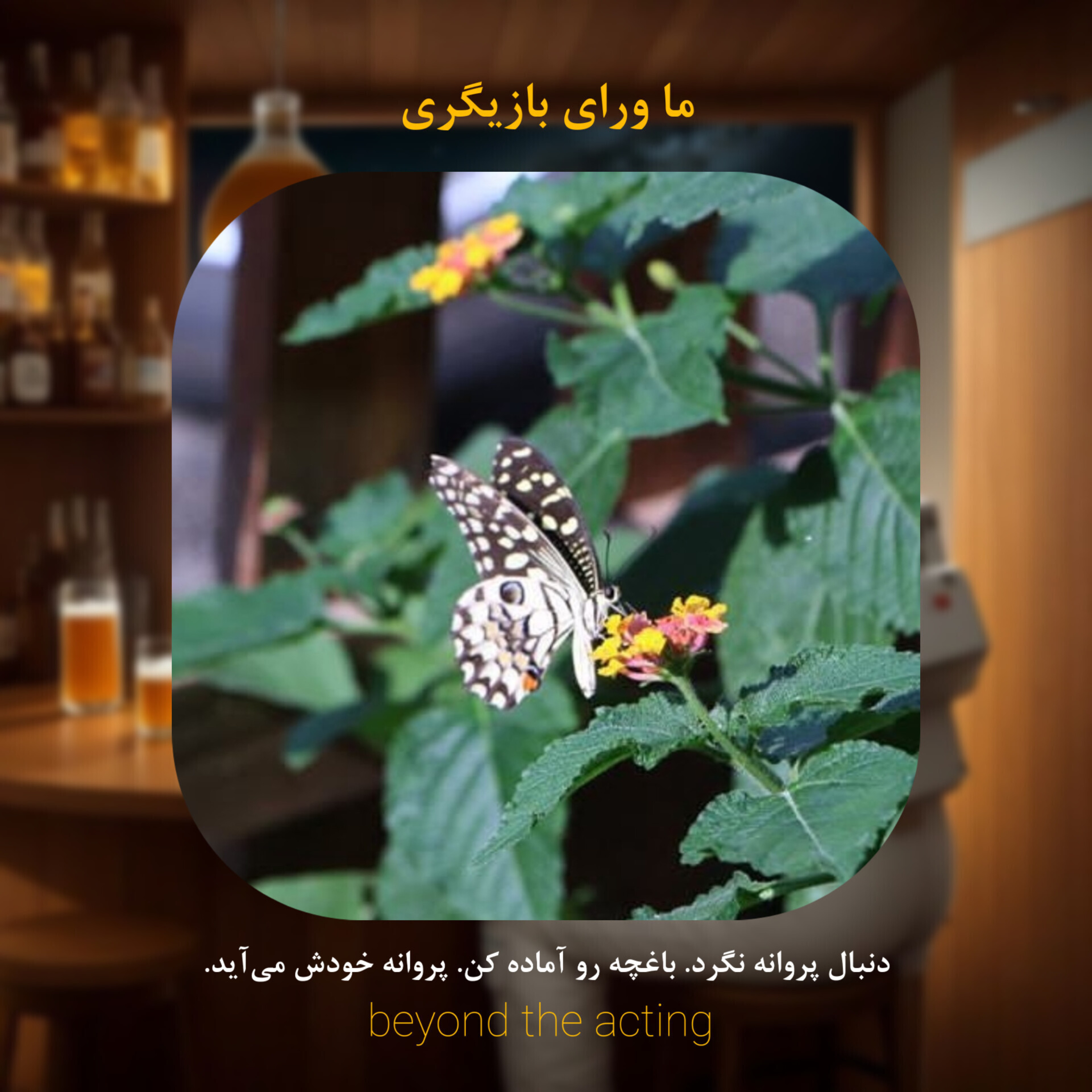 ۱۷- همین‌جا بهترین جاست برای تغییر (پروانه خودش می‌آد) episode artwork