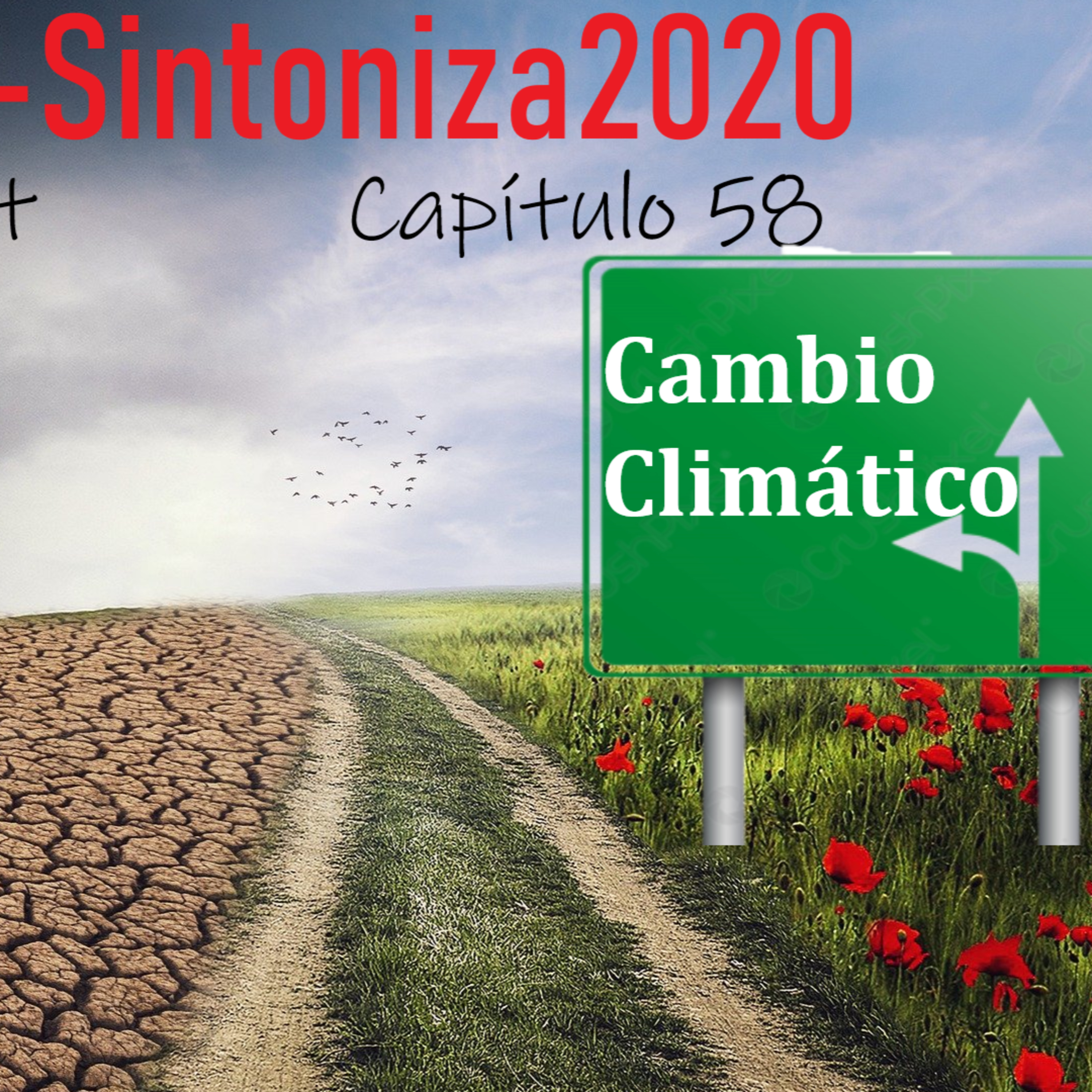 Reset-Sintoniza2020