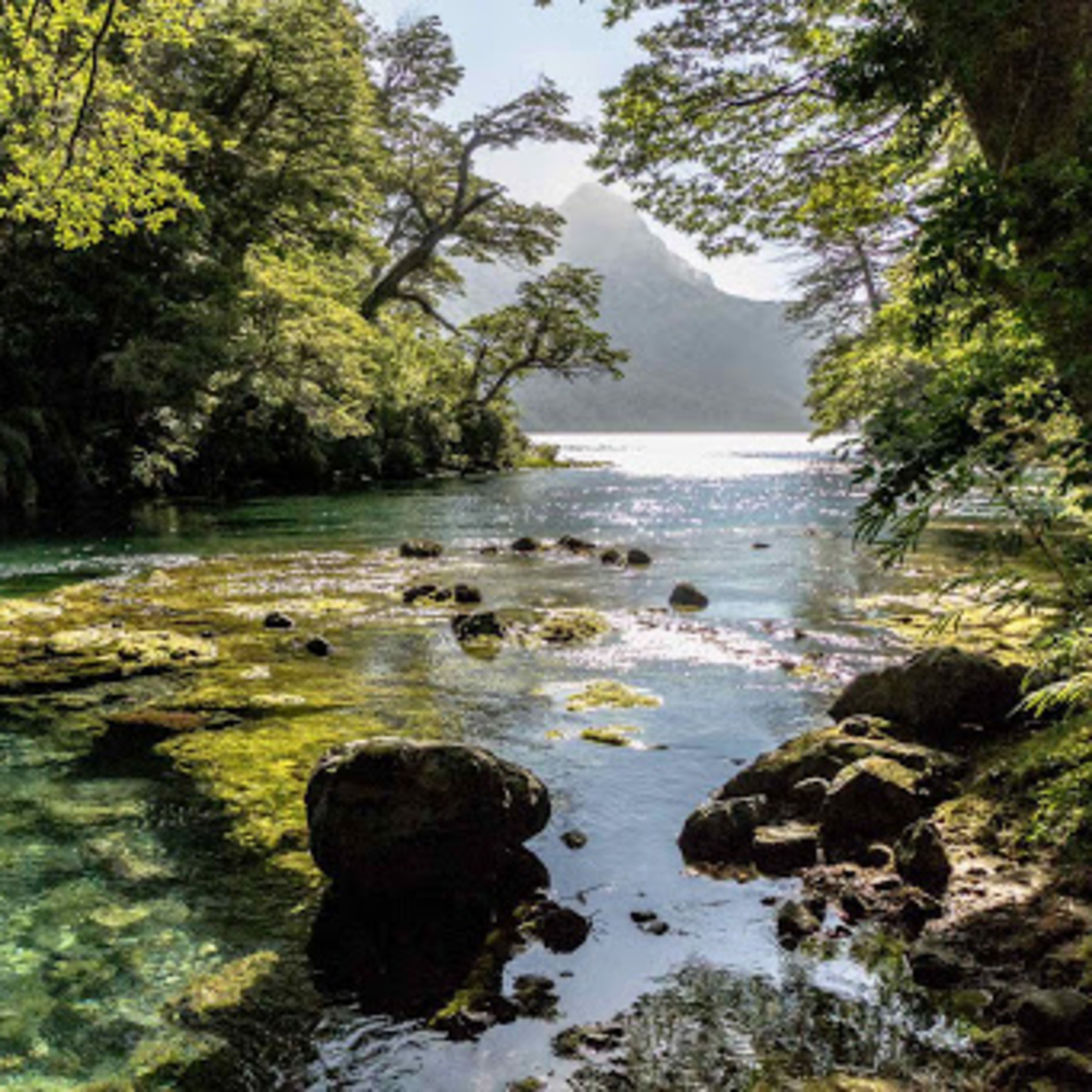 Meditación Guiada