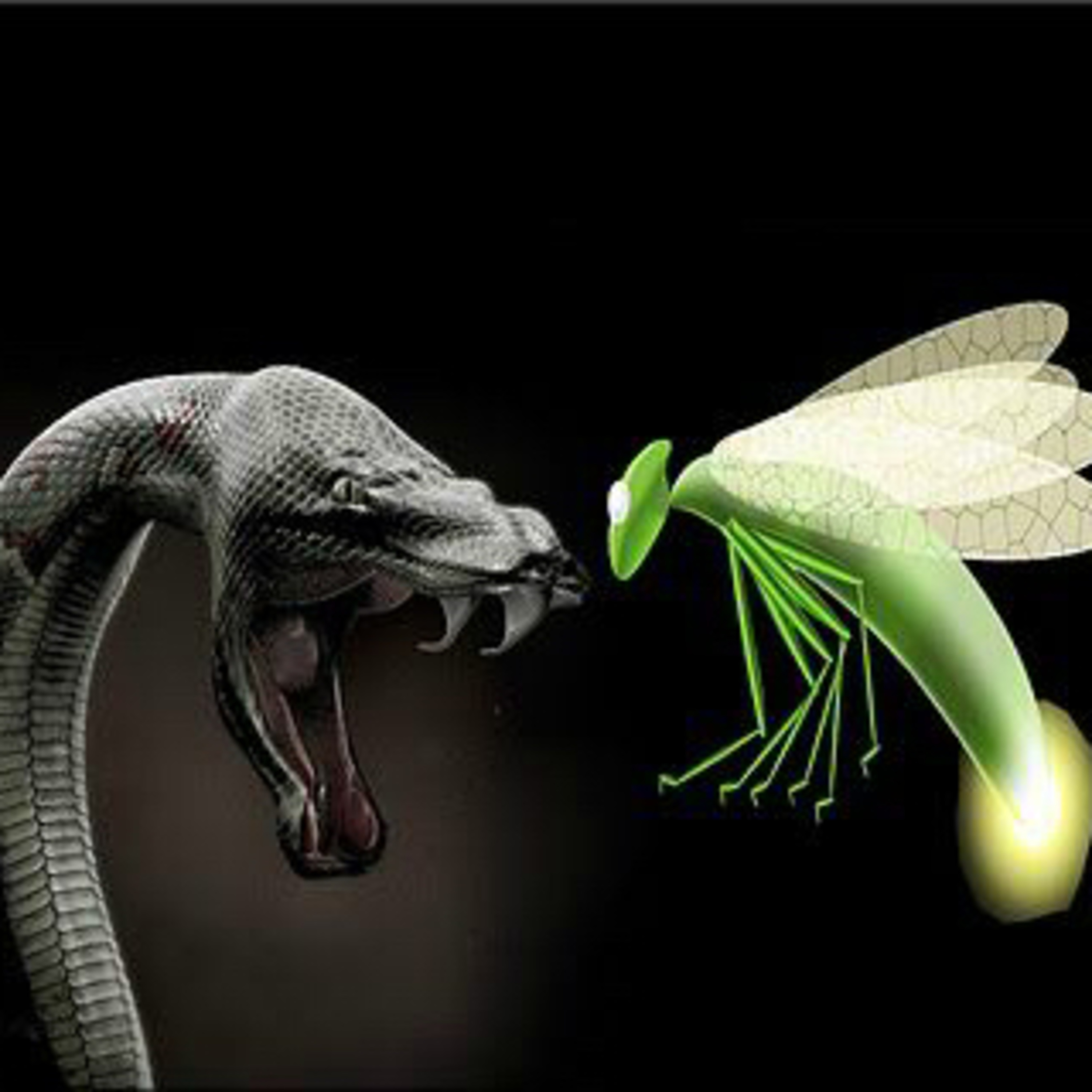 Não dê Poder aos outros