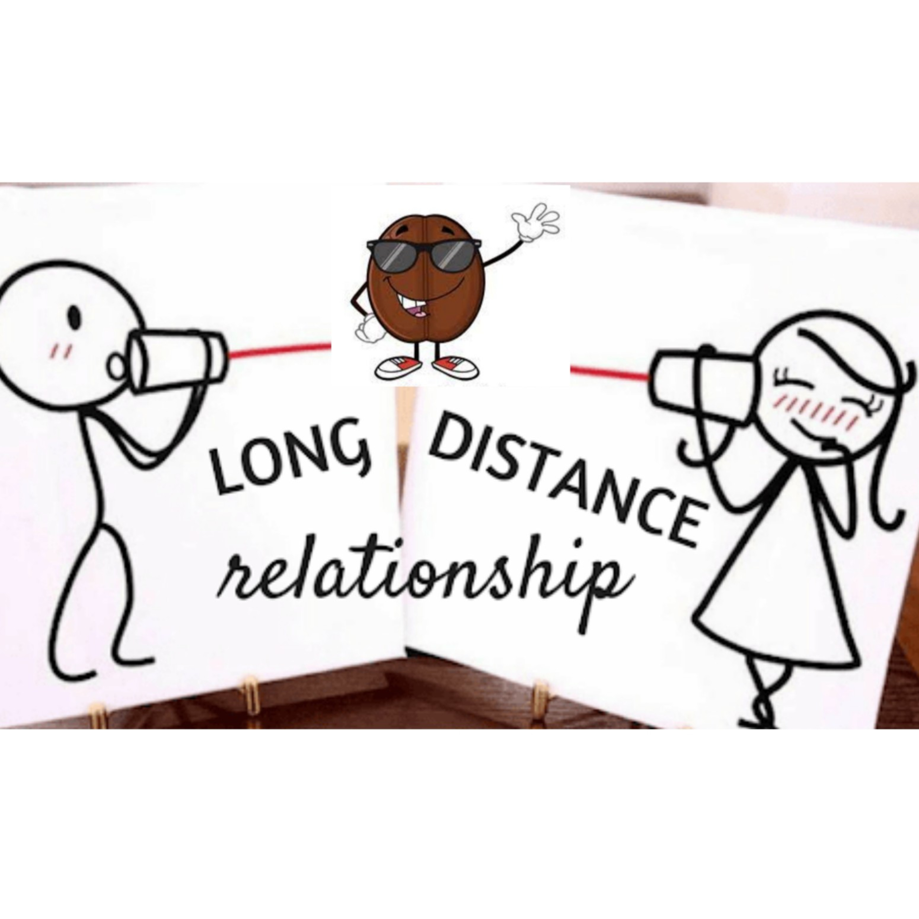 Bijis 02 - LDR? YES or NO?? 