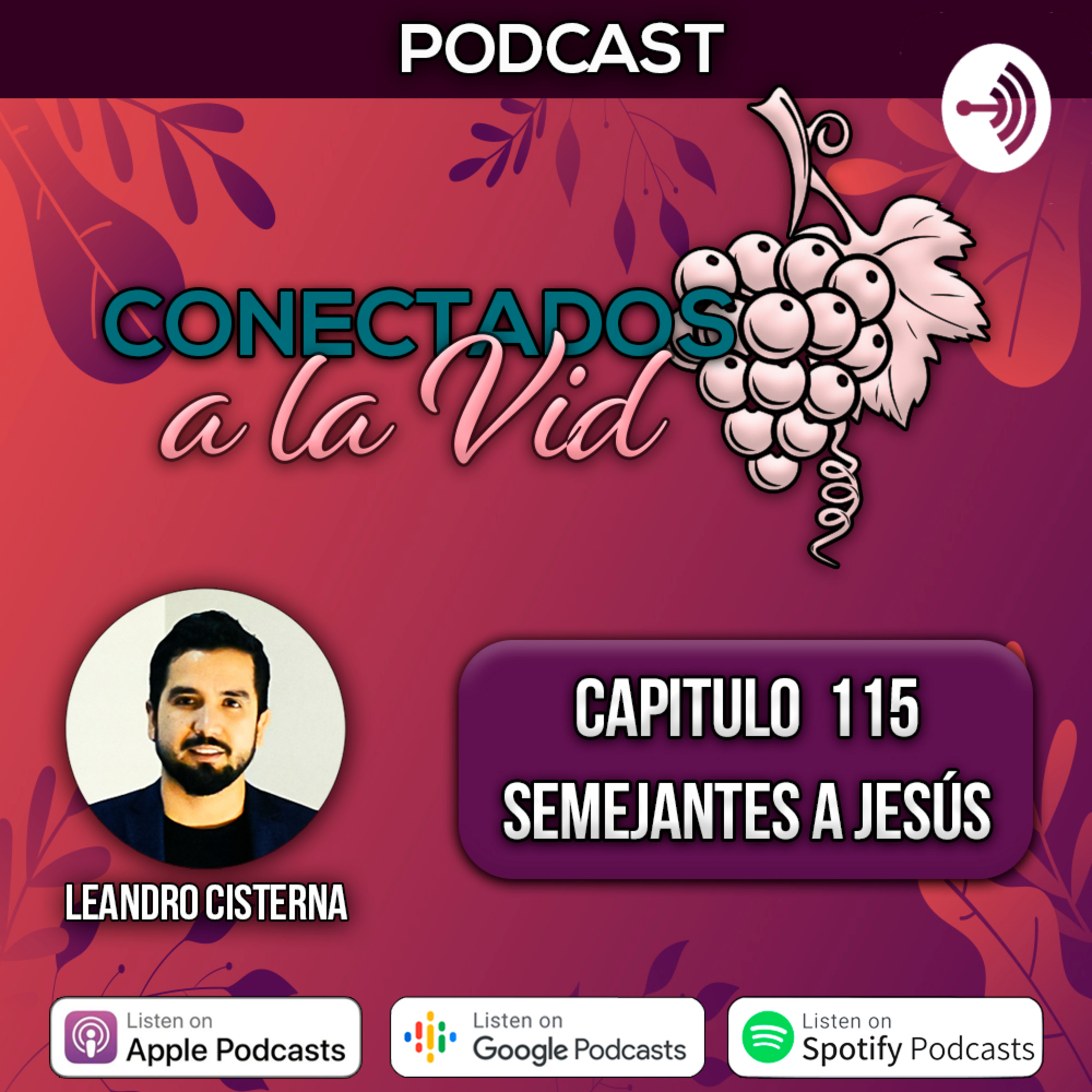 Conectados a la Vid