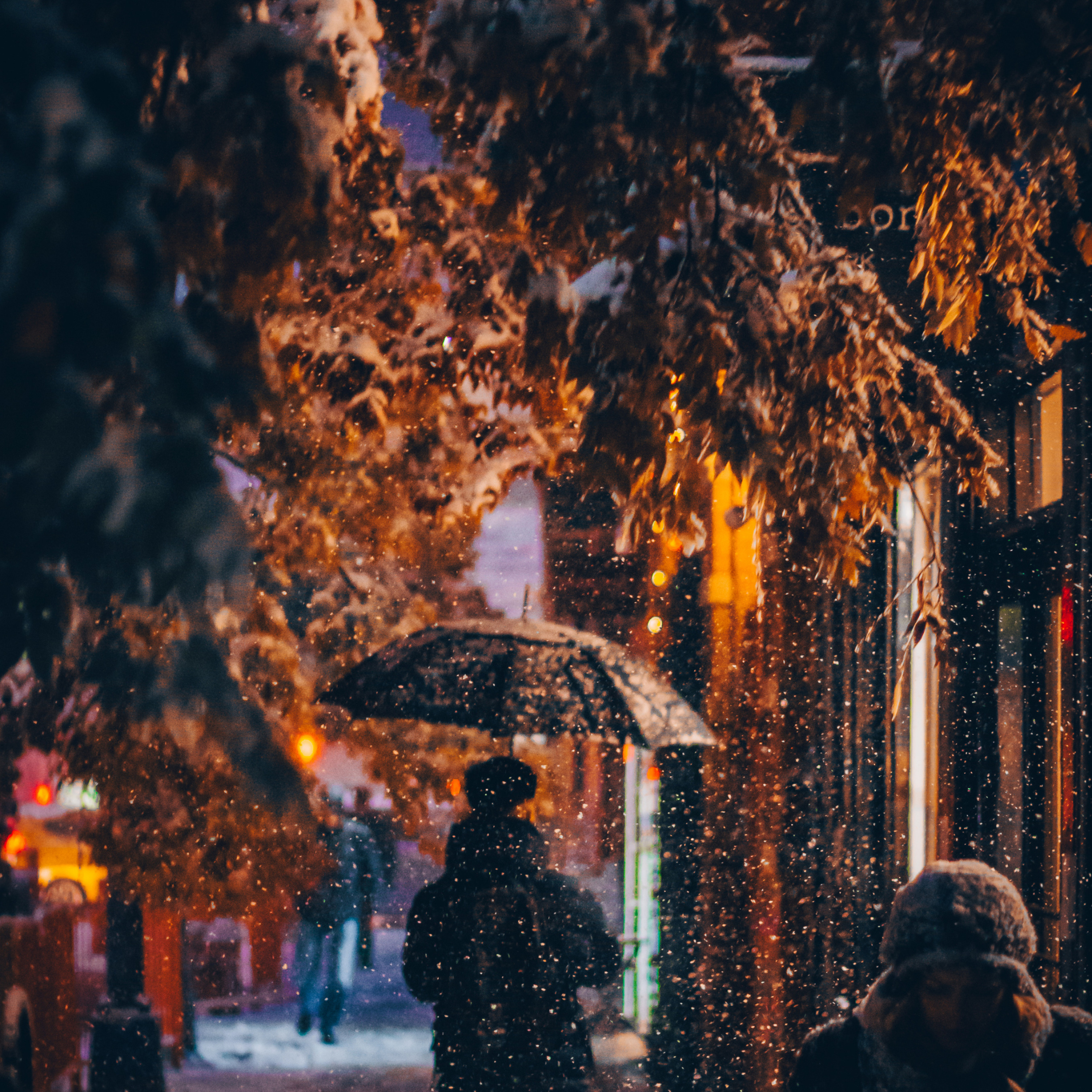 Devocional - Comece por Dentro