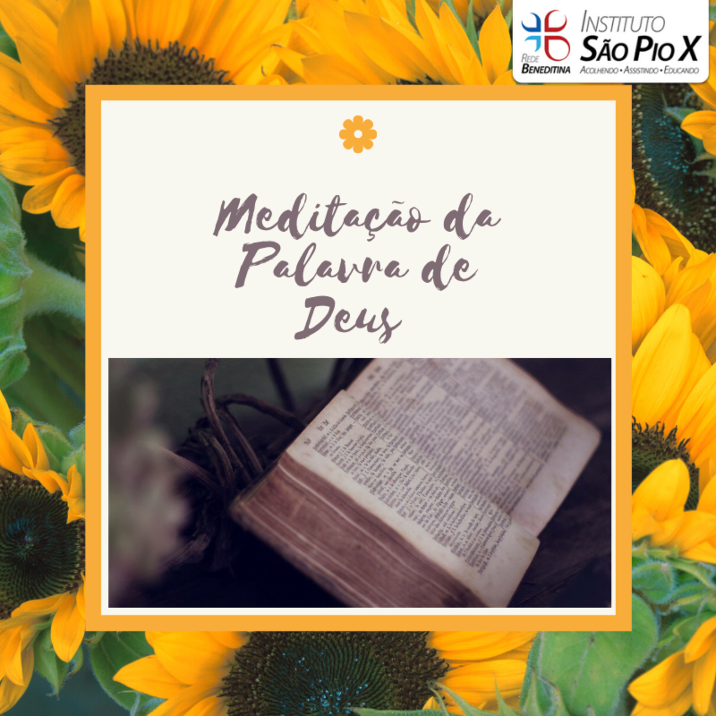 Meditação da Palavra de Deus - 13-04-2021 episode artwork