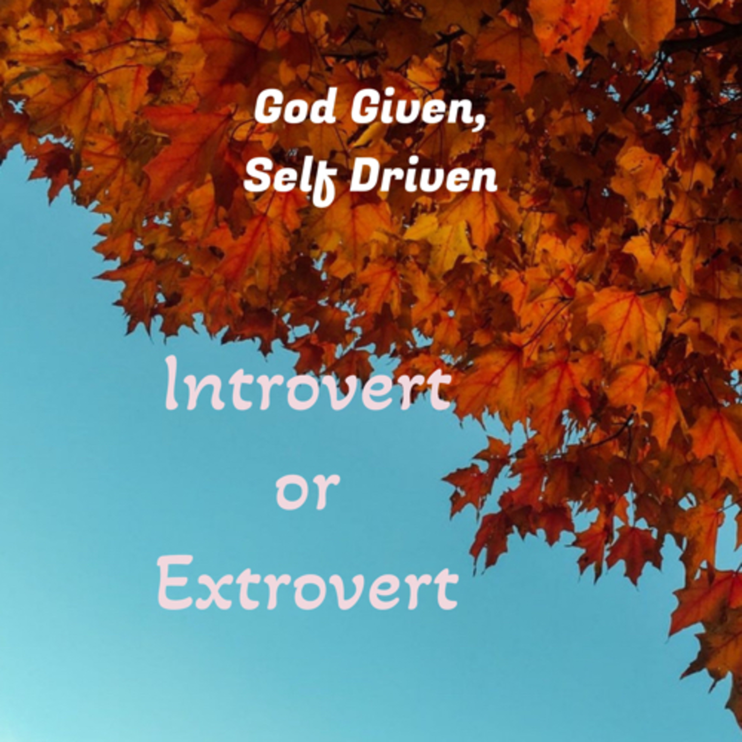 God Given, Self Driven: Introvert or Extrovert Part 1