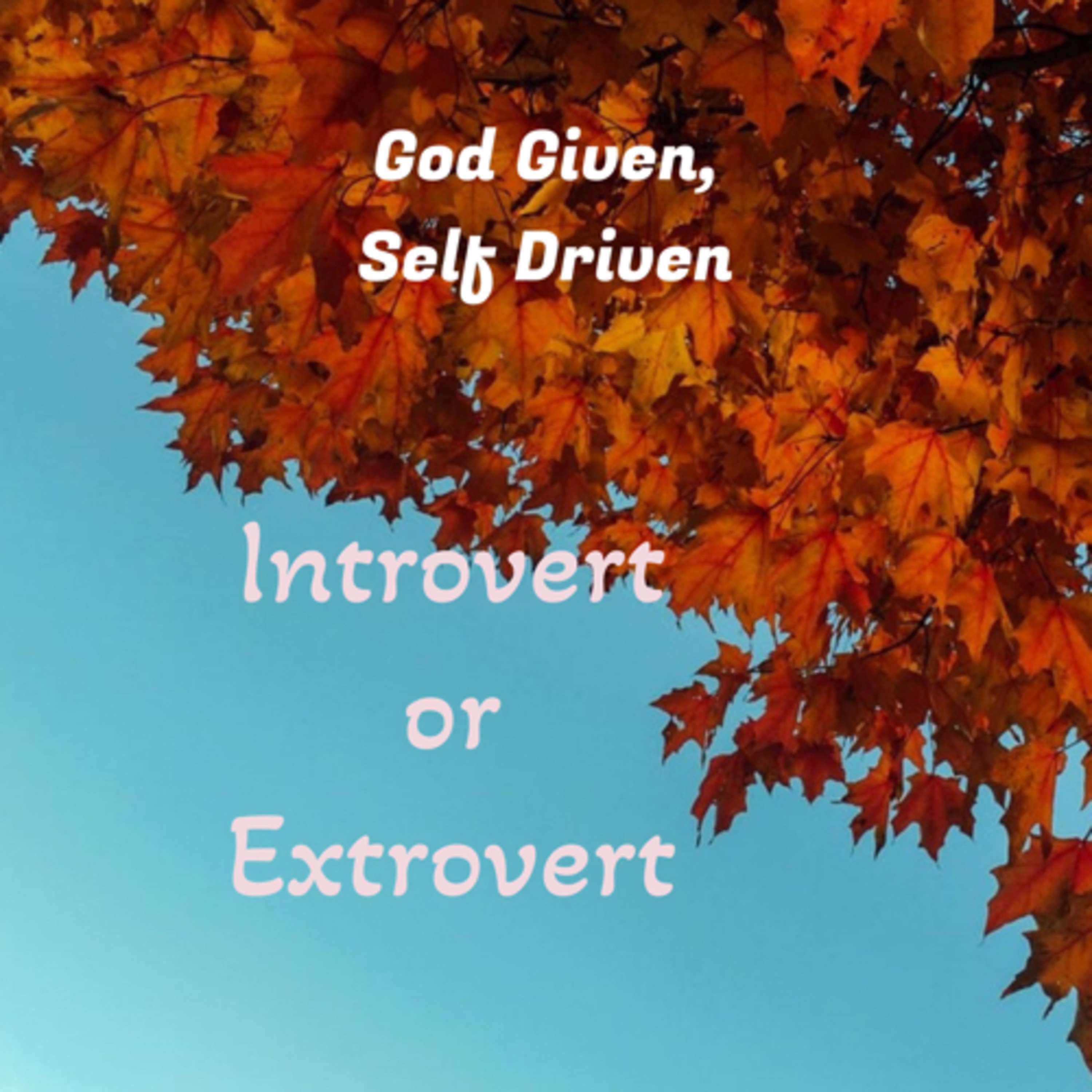 God Given, Self Driven: Introvert vs Extrovert Part 2 episode artwork