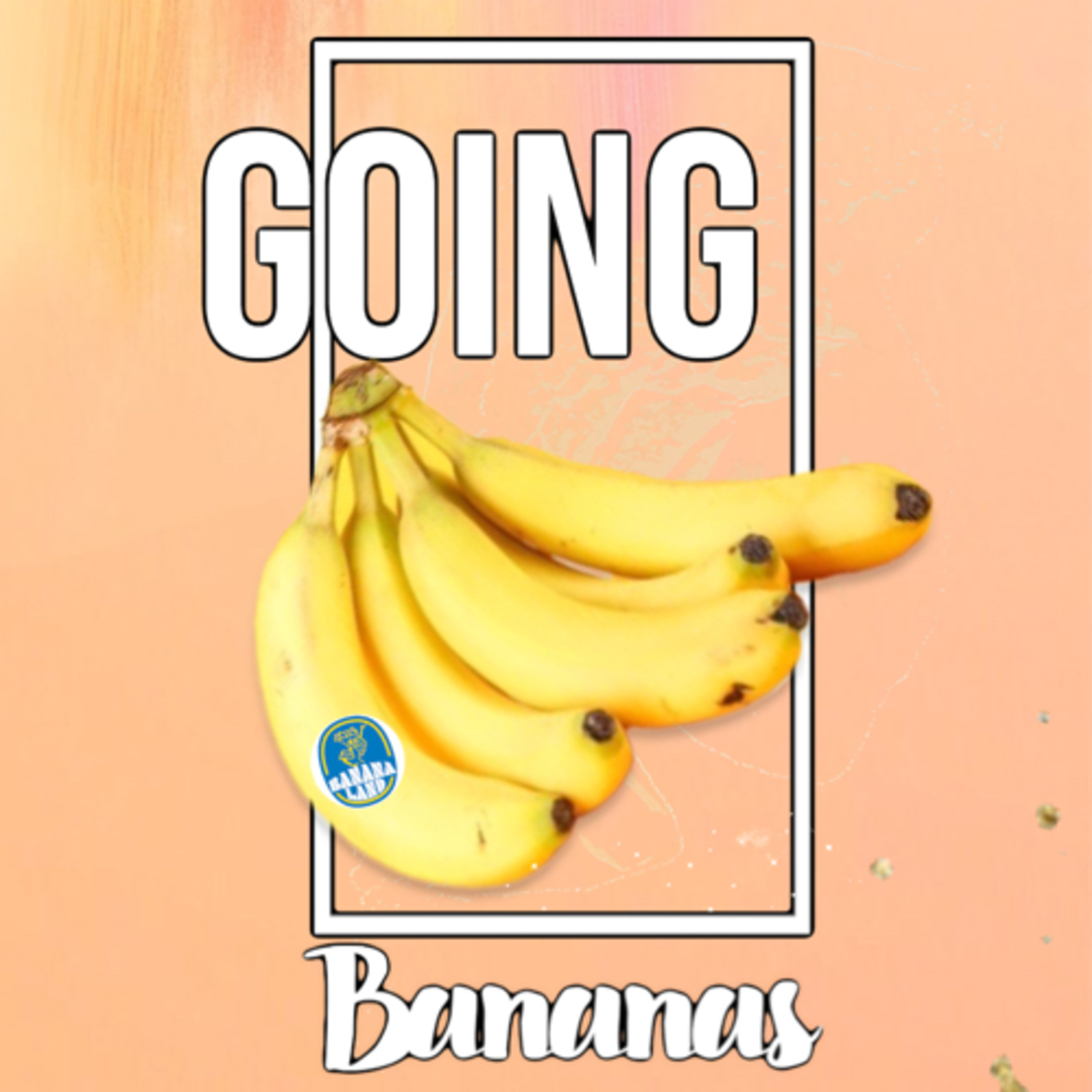 BananaLand