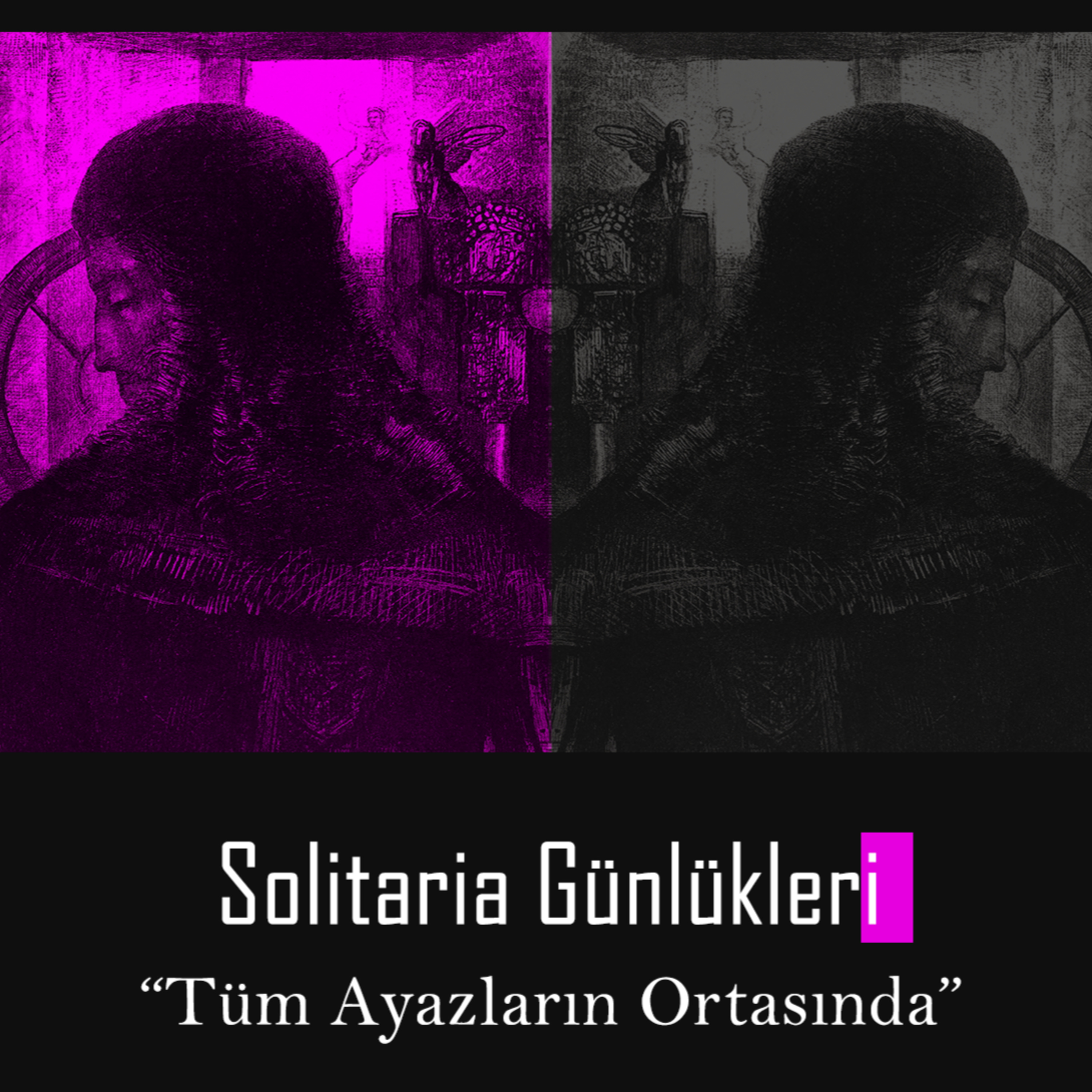 Solitaria Günlükleri