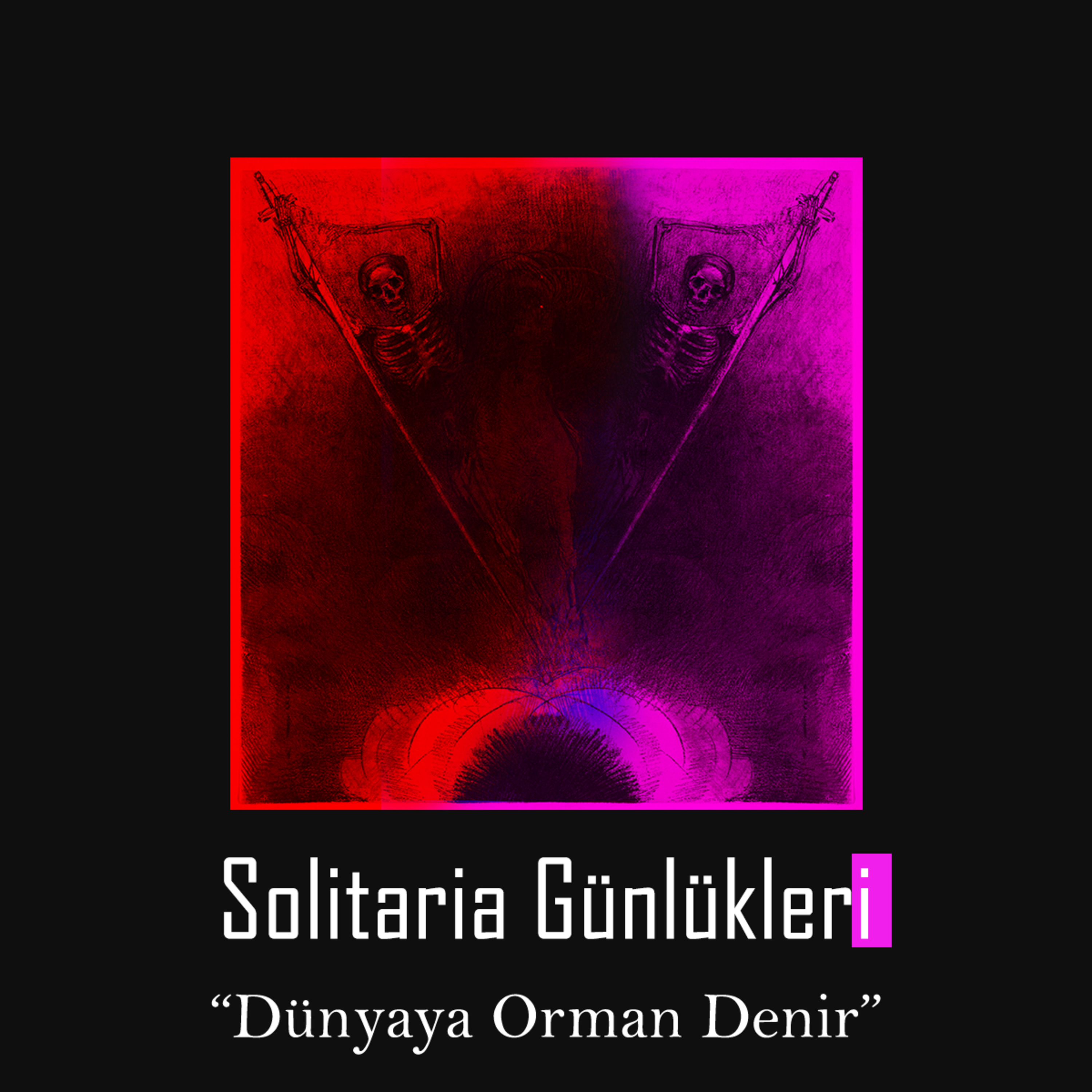 Solitaria Günlükleri