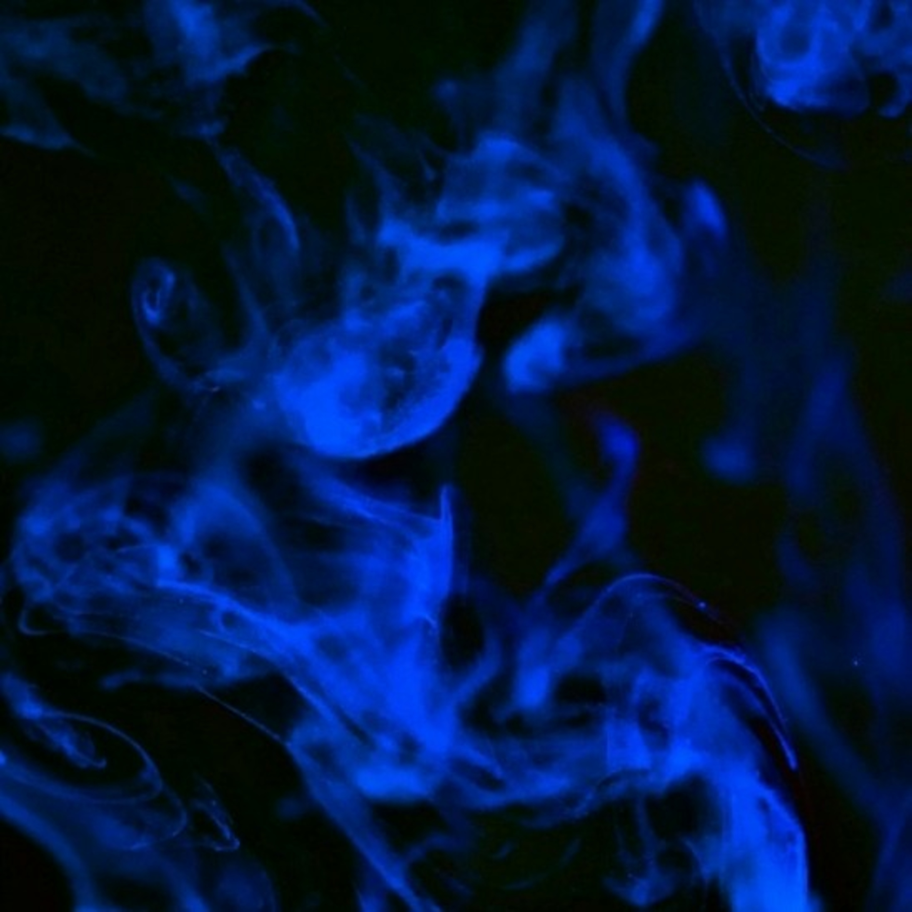 564 - 06/393 - DEDICAÇÃO AO SERVIR - Mensagem do Dia