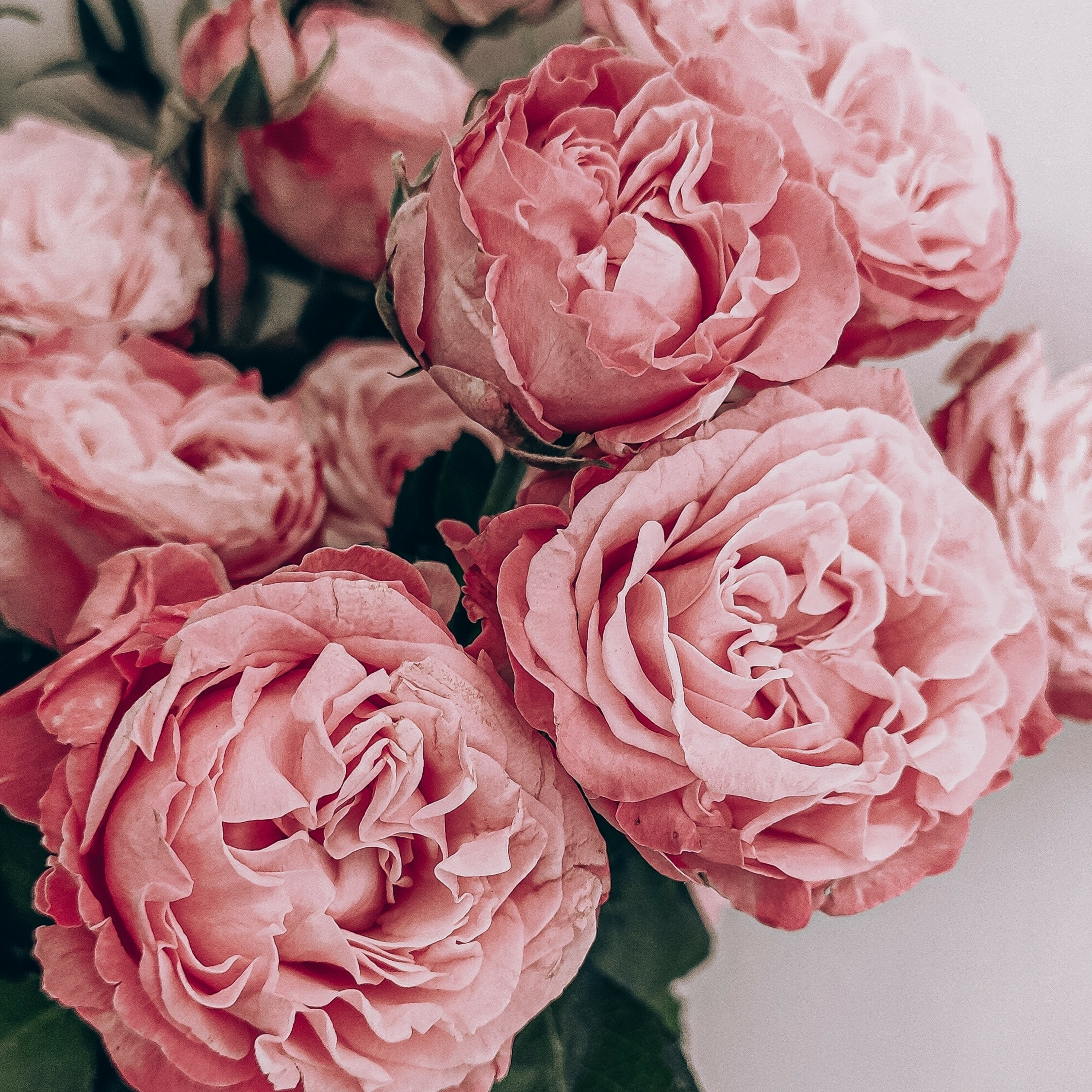 567 - 06/396 - PODER DE UM SORRISO -Menaagem do Dia