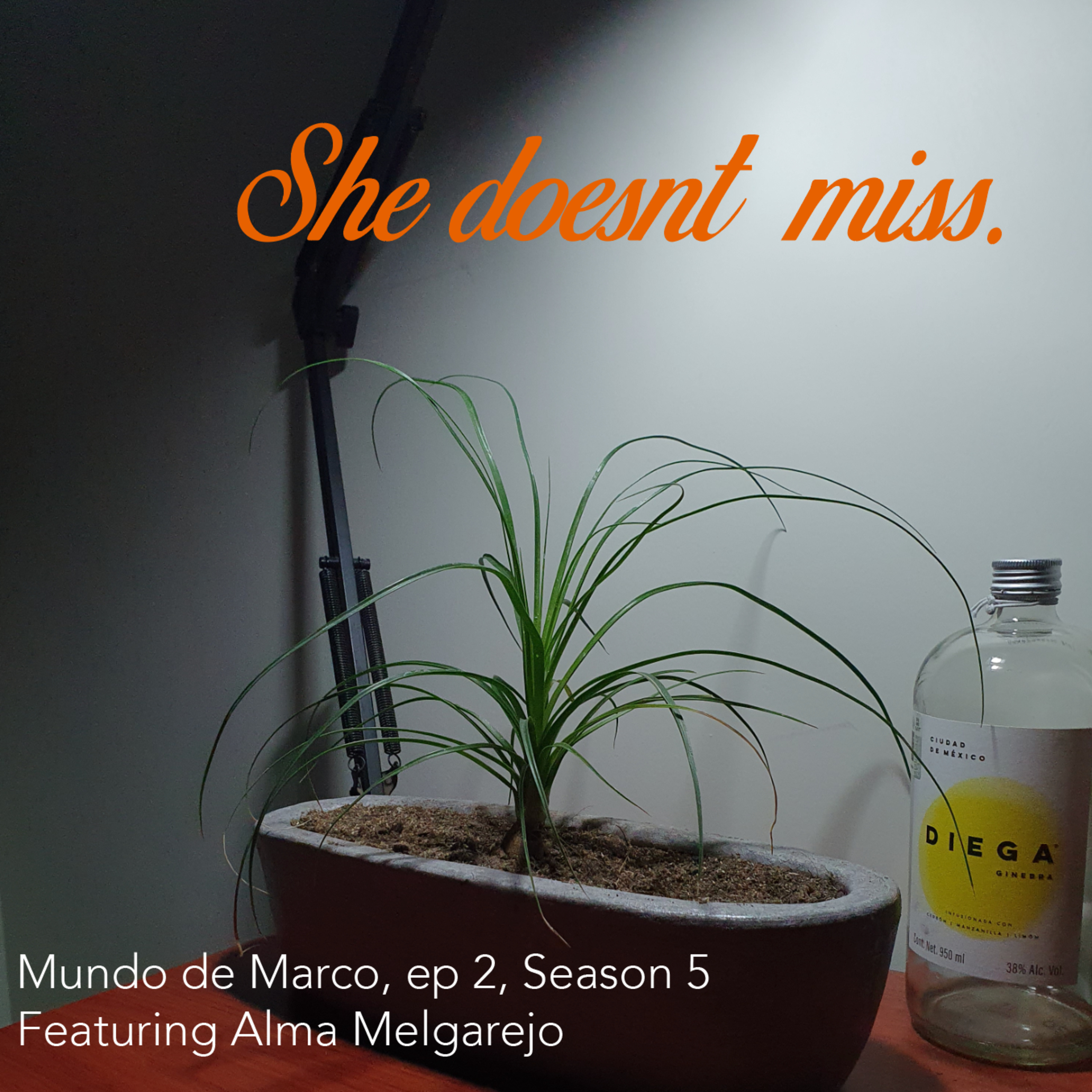 "El juego del calamar, signos zodiacales y red flags" El mundo de Marco, Ep. 2 Season 5 Feat. Alma Melgarejo episode artwork