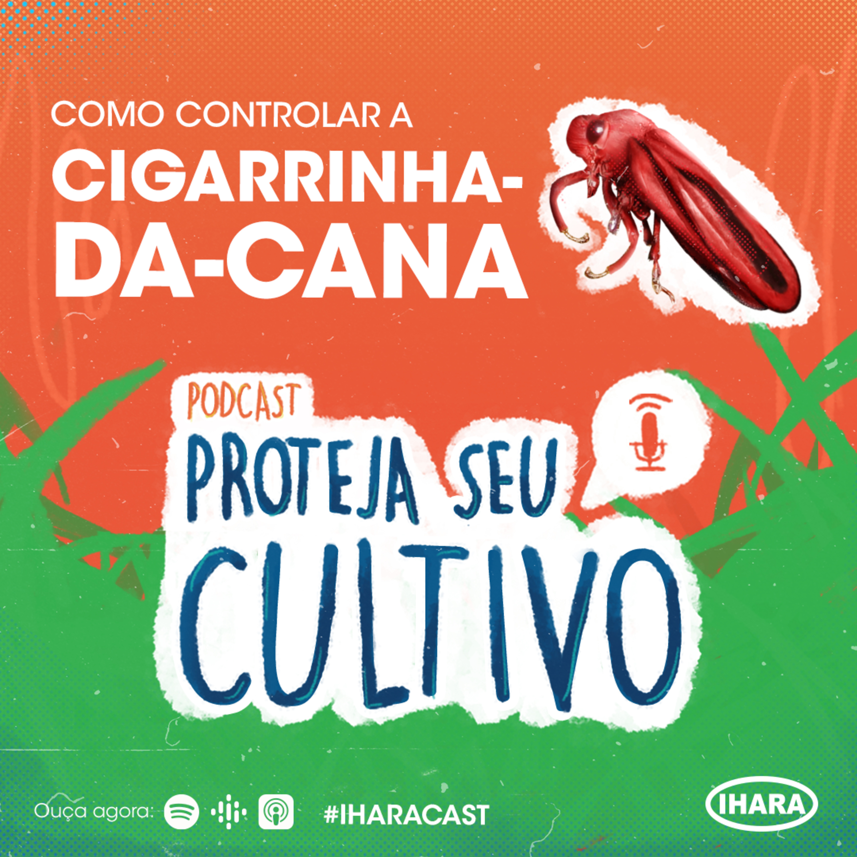 IHARACAST
