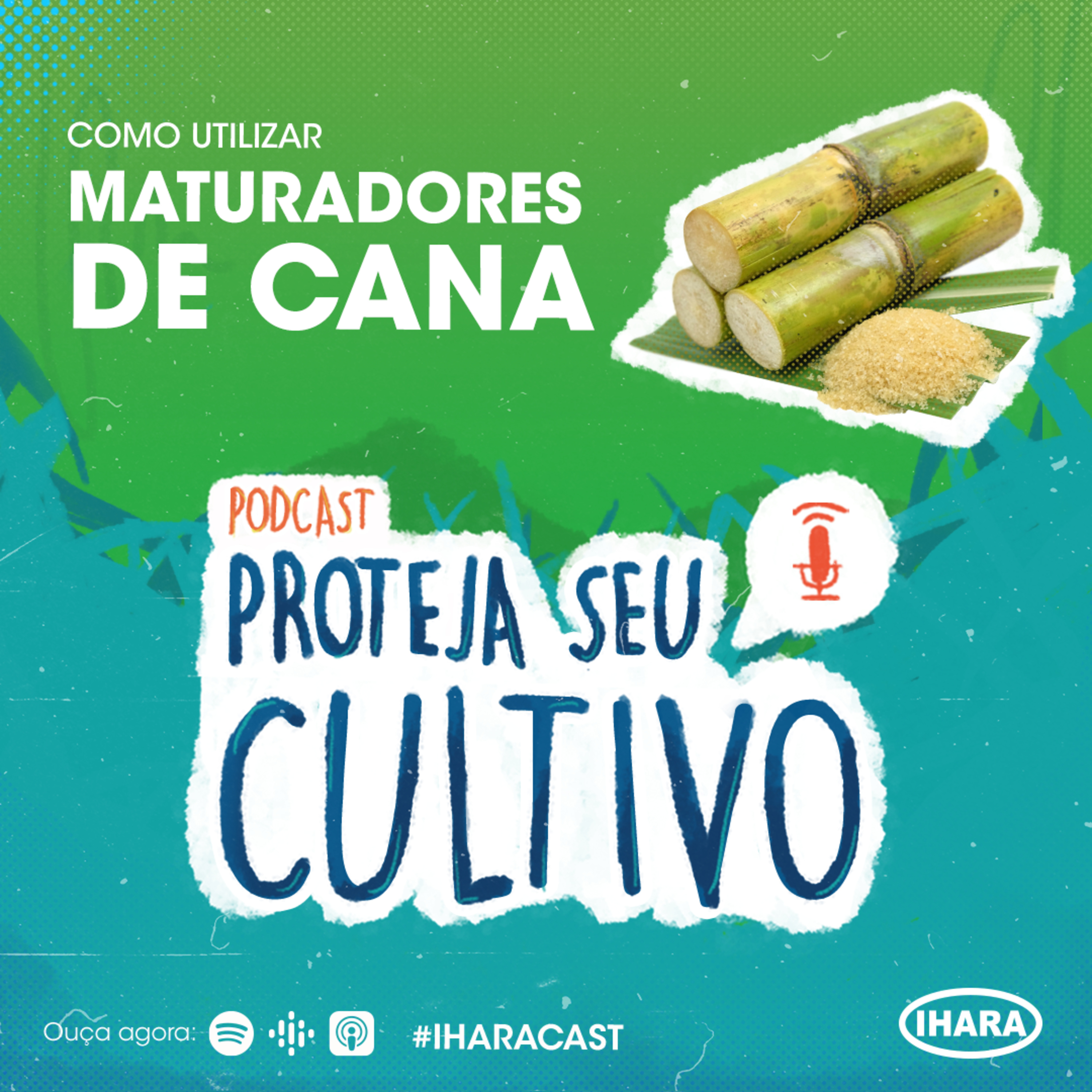 IHARACAST