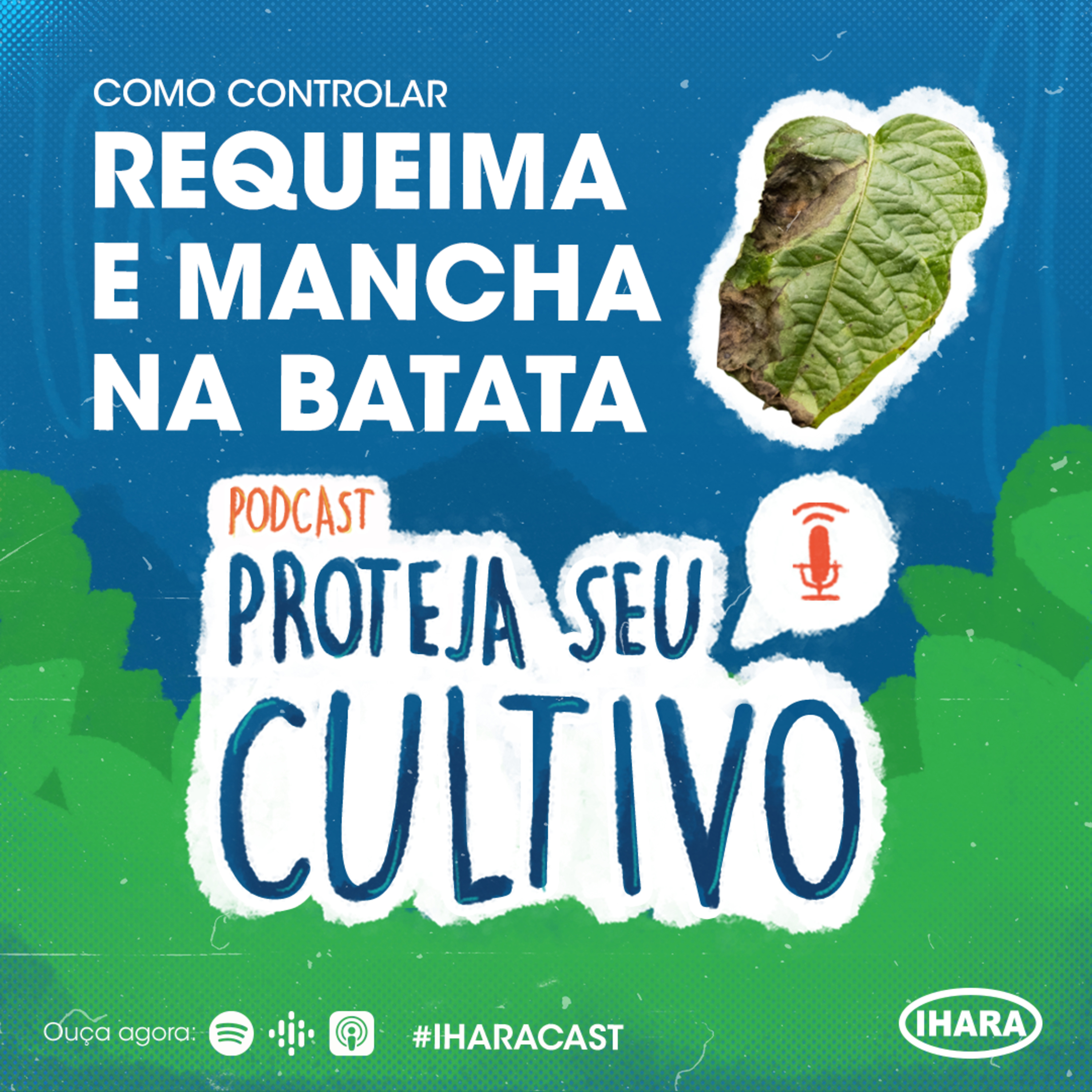 IHARACAST