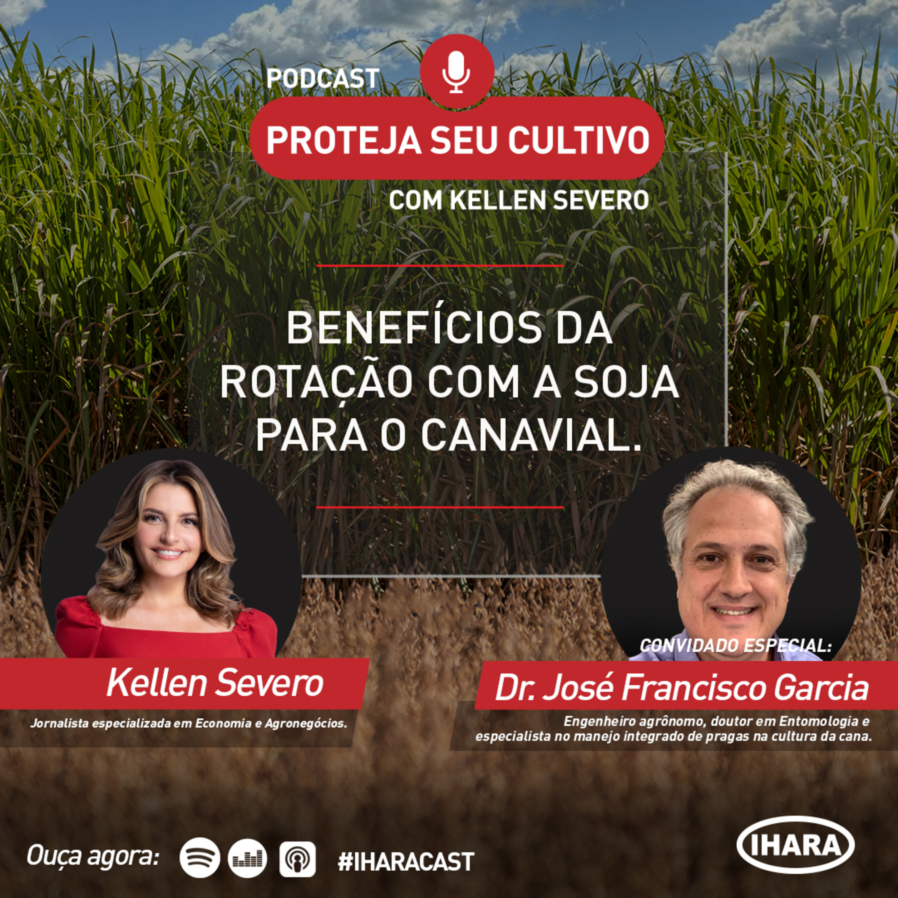 # 15 - Benefícios da rotação com a soja para o canavial