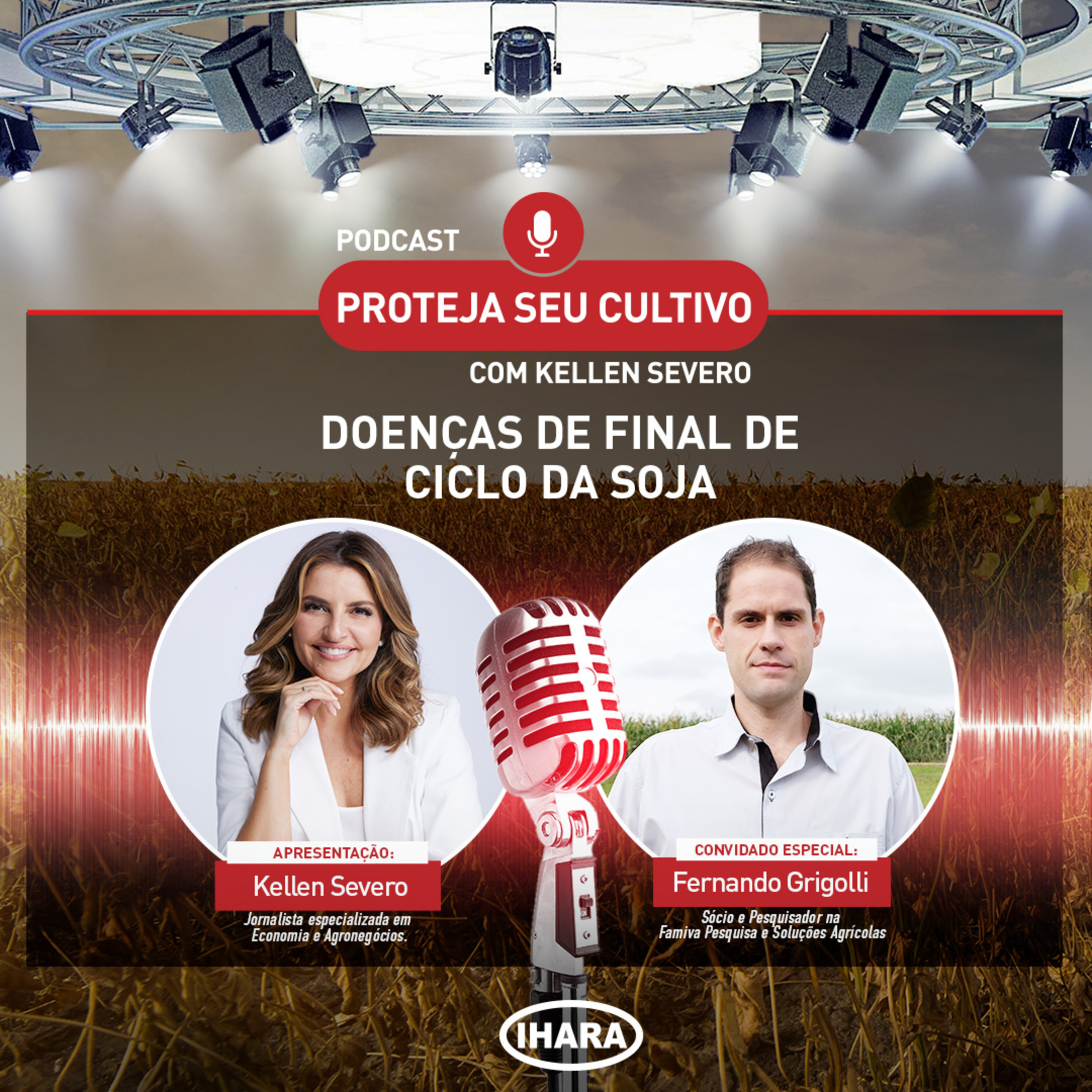 # 28 - Doenças de final de ciclo na soja episode artwork