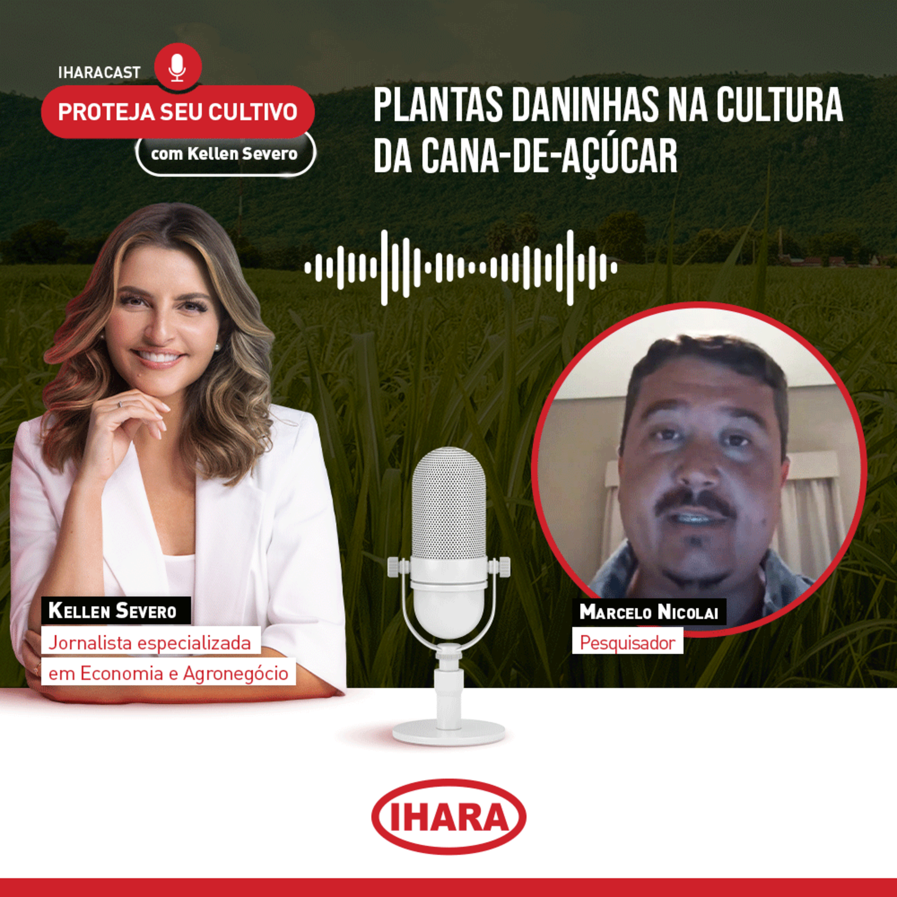 #32 - Plantas daninhas na cultura da cana-de-açúcar episode artwork