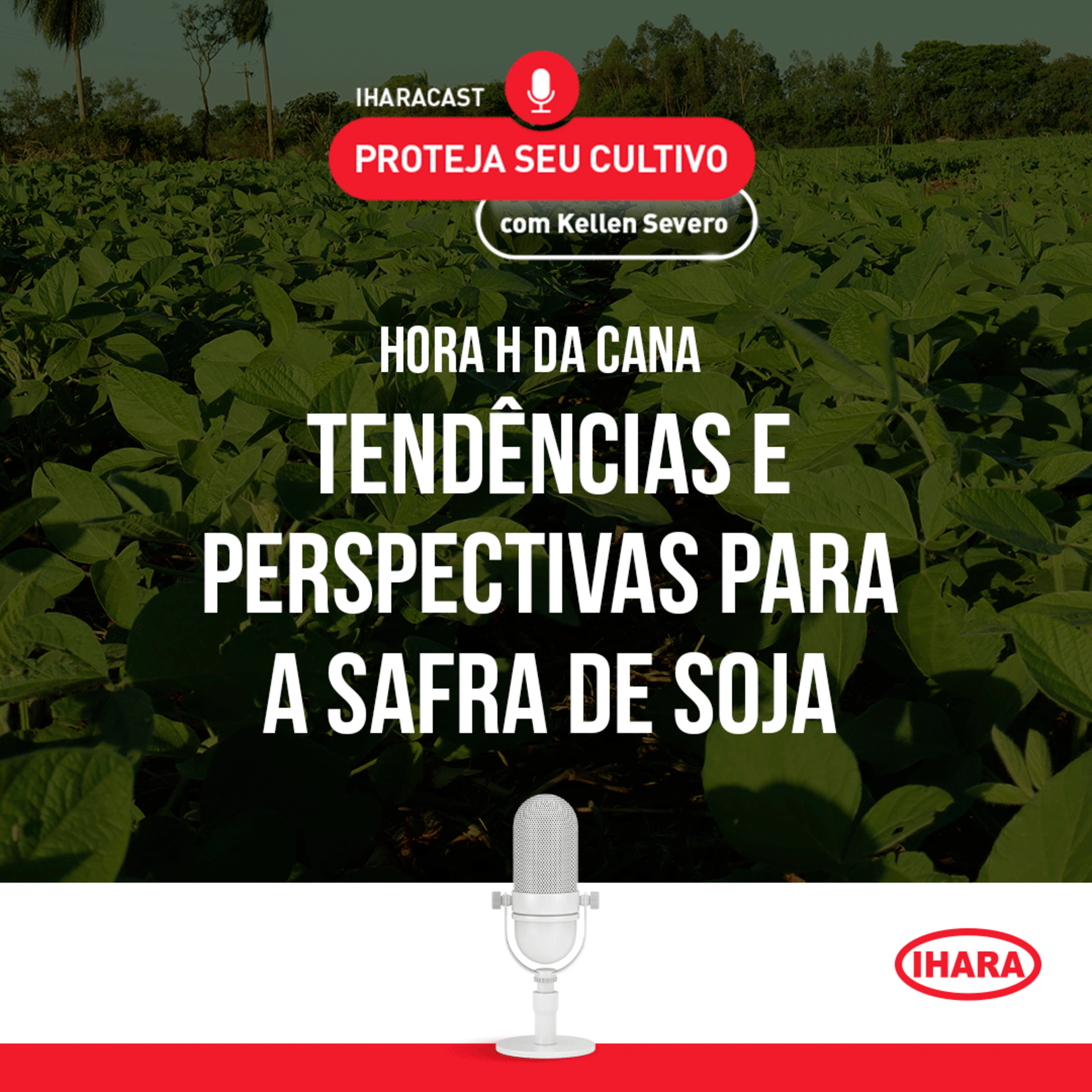 #33 - Tendências e perspectivas para a safra de soja episode artwork