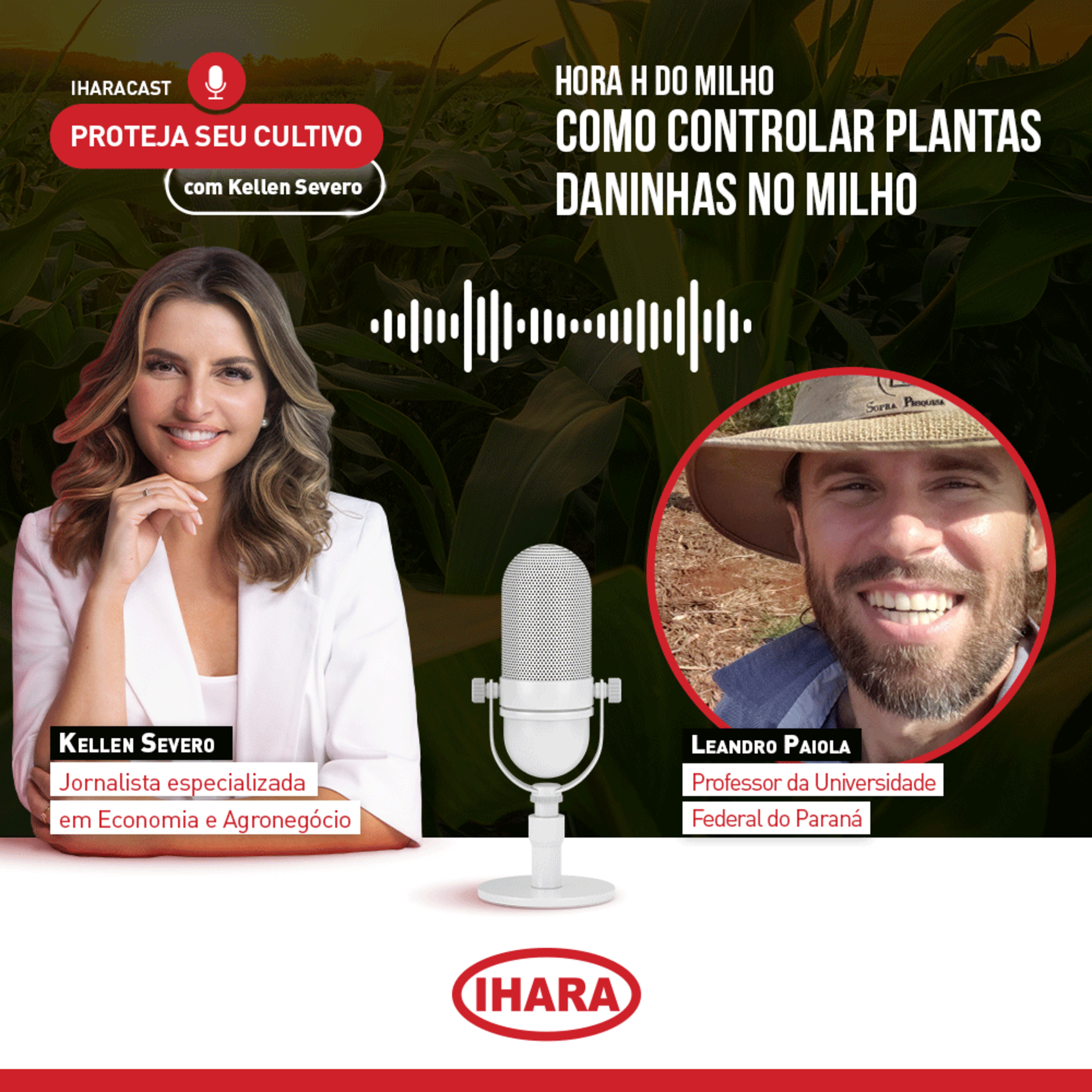 #34 - Como controlar plantas daninhas no milho episode artwork