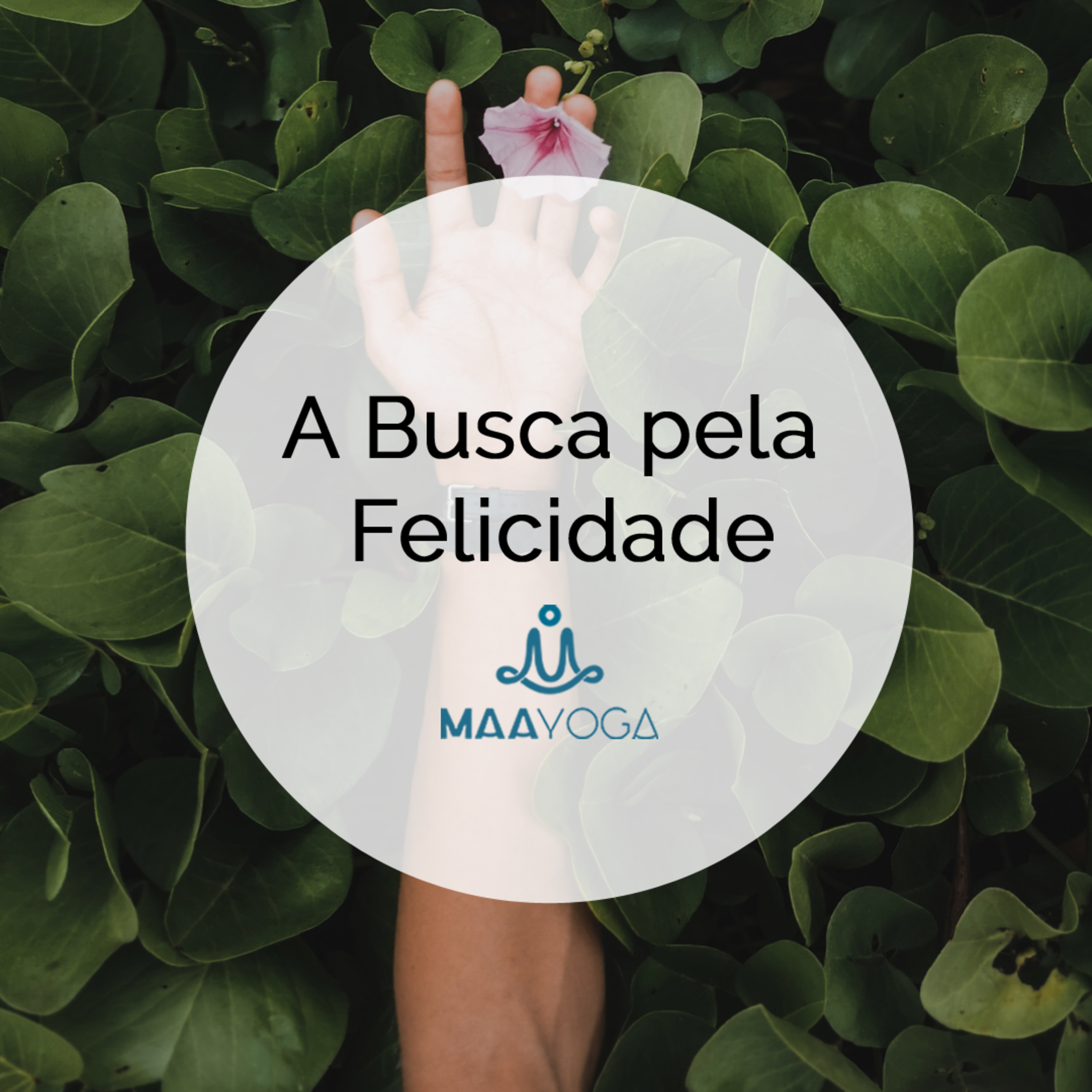 A Busca pela Felicidade