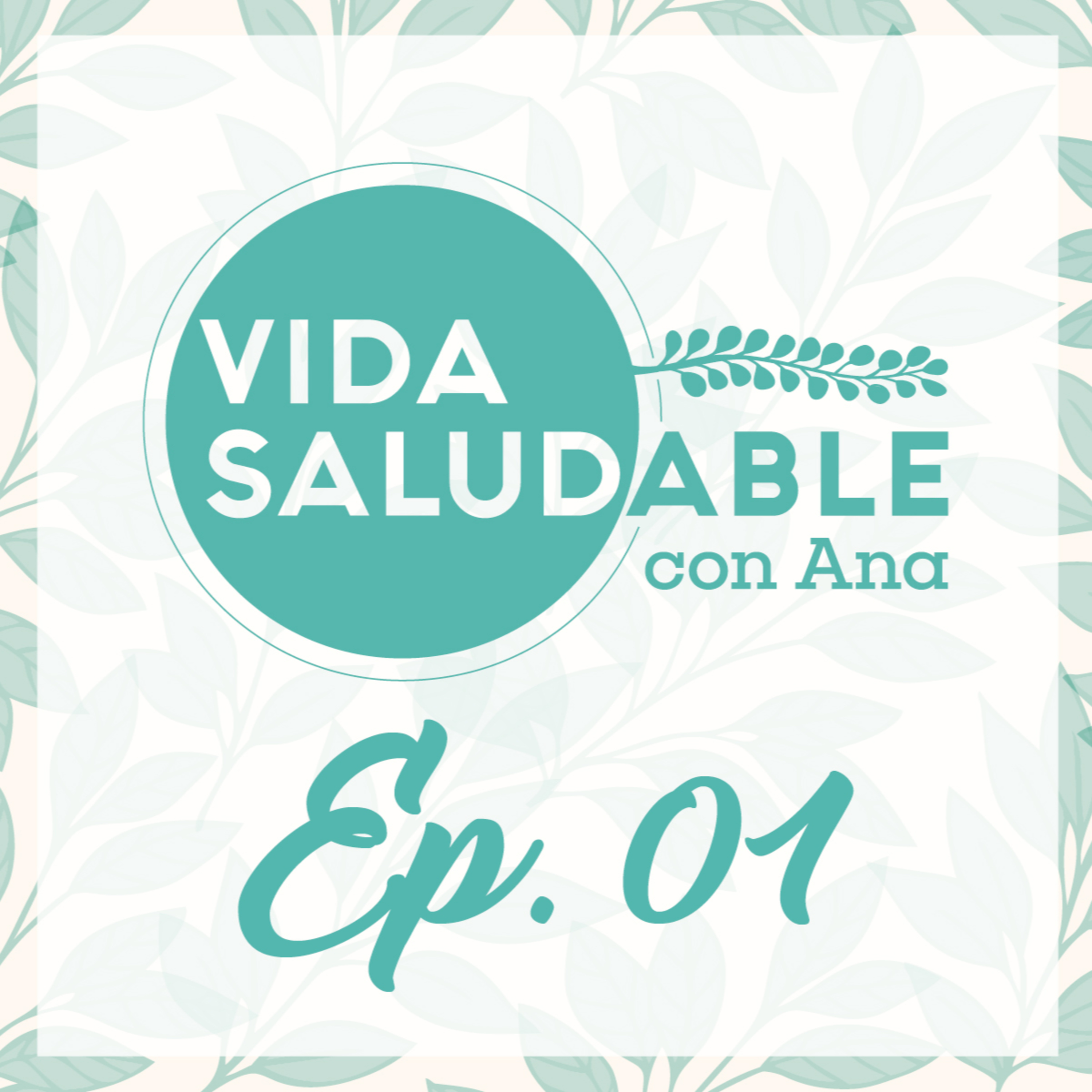 Vida Saludable con Ana