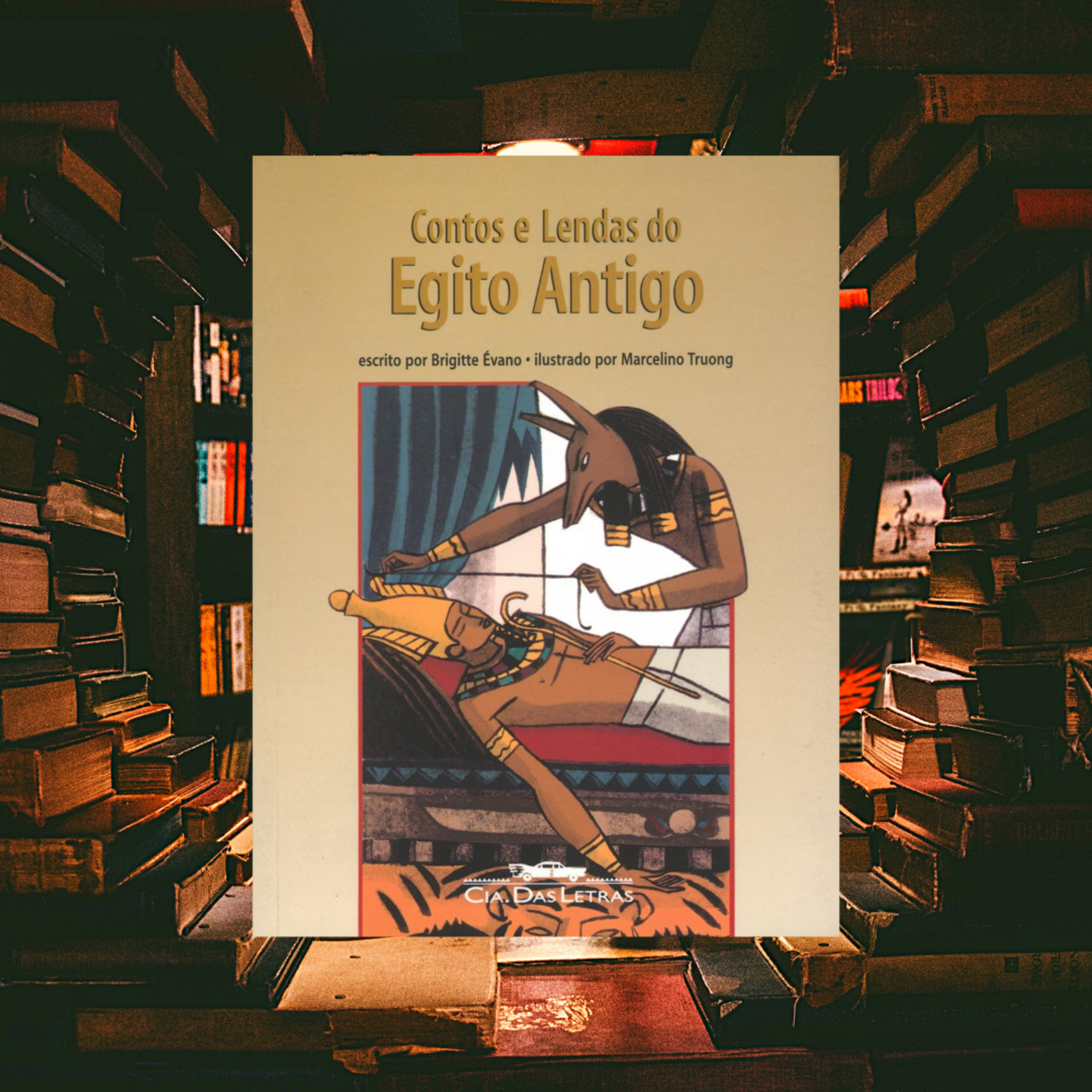 Bibliotecária Natalie Ichikawa