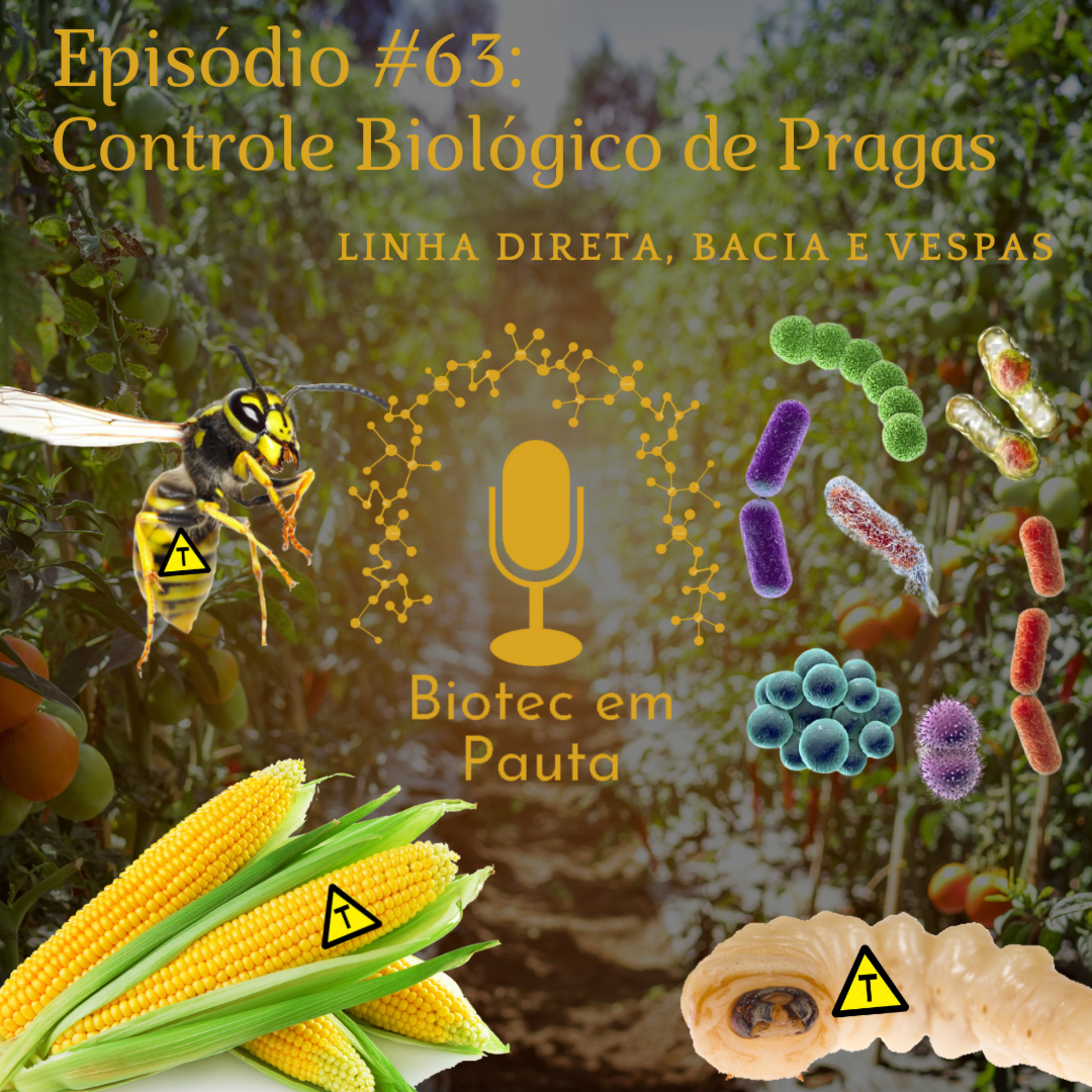 Biotec em Pauta