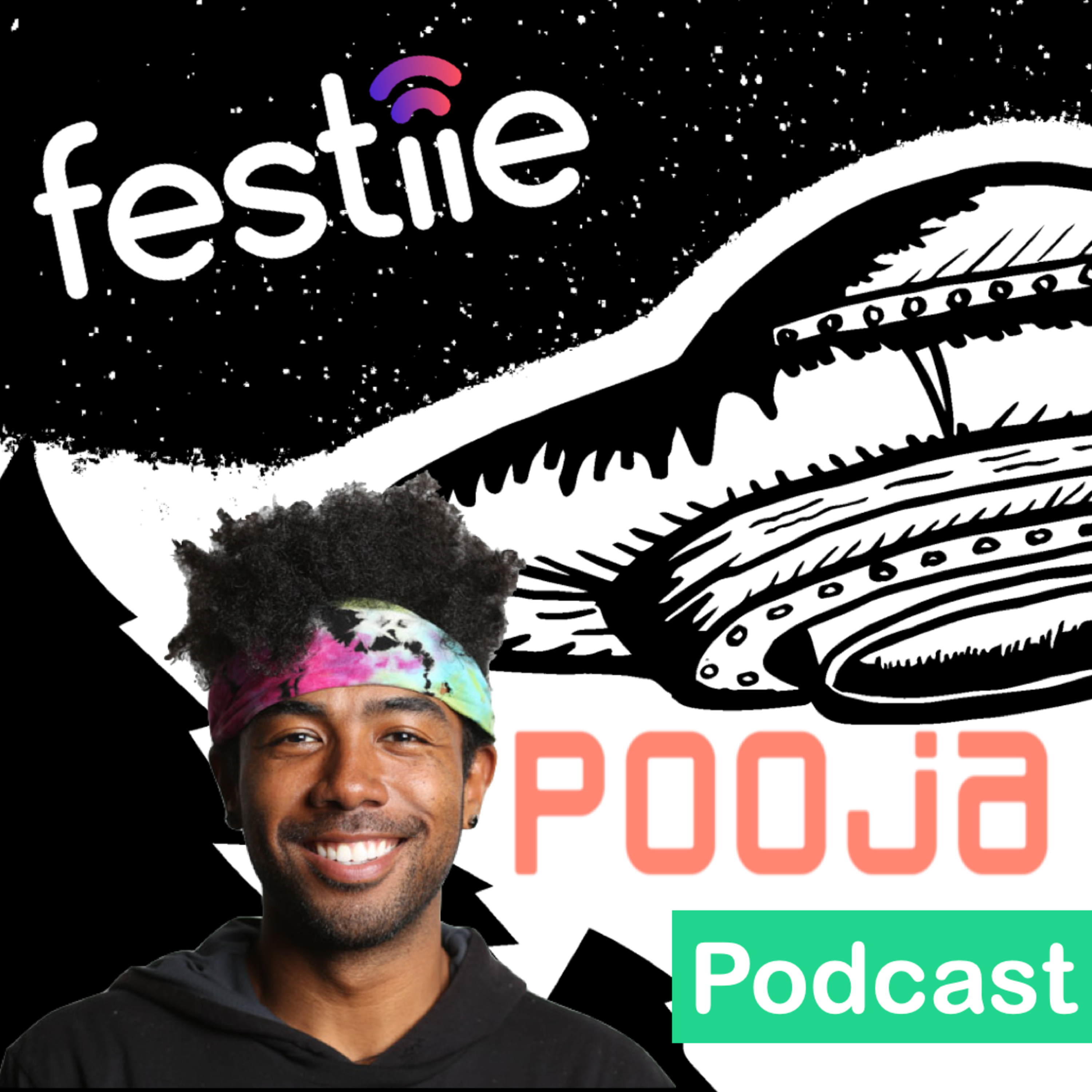 The Festiie Files: The Music Festival Podcast
