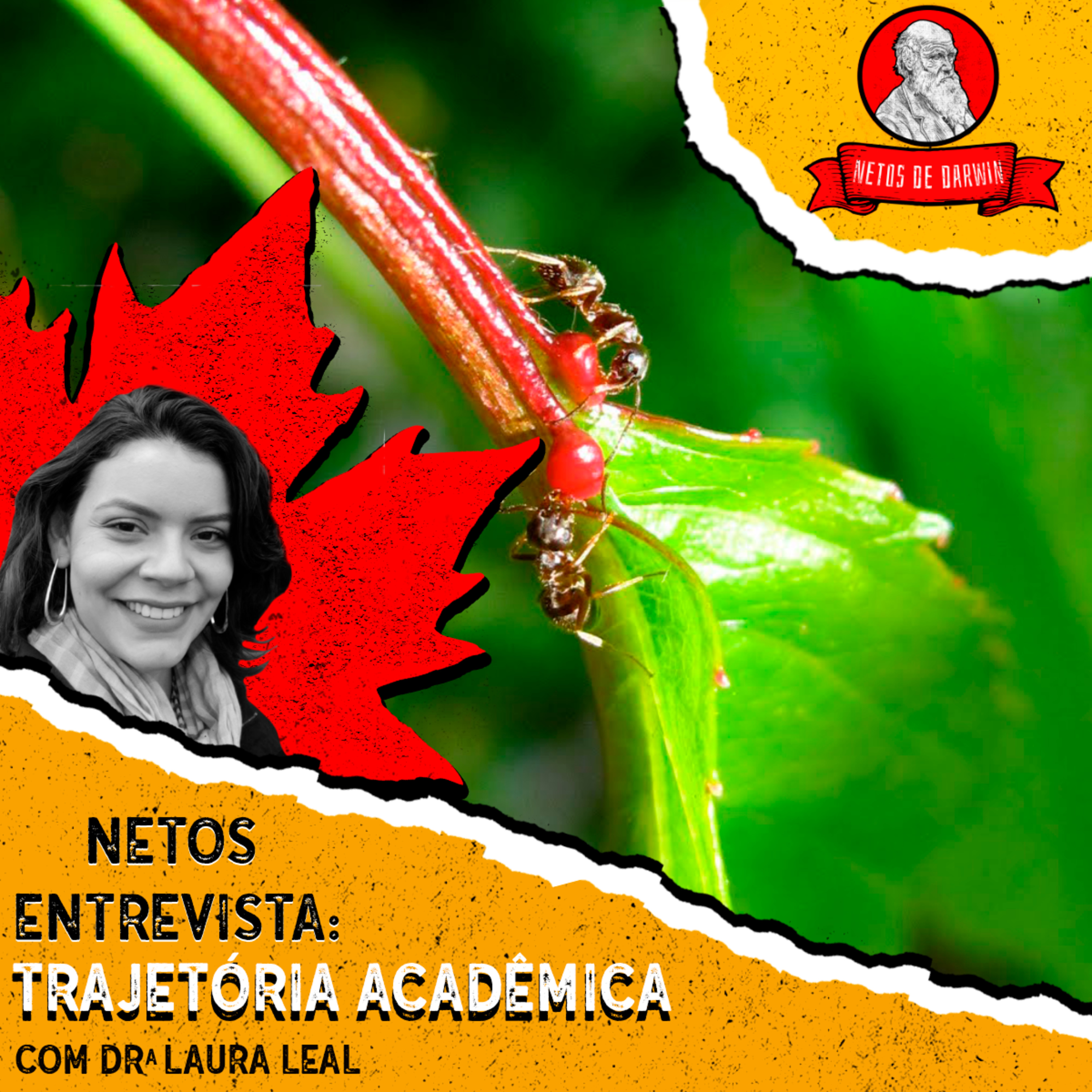 Netos de Darwin