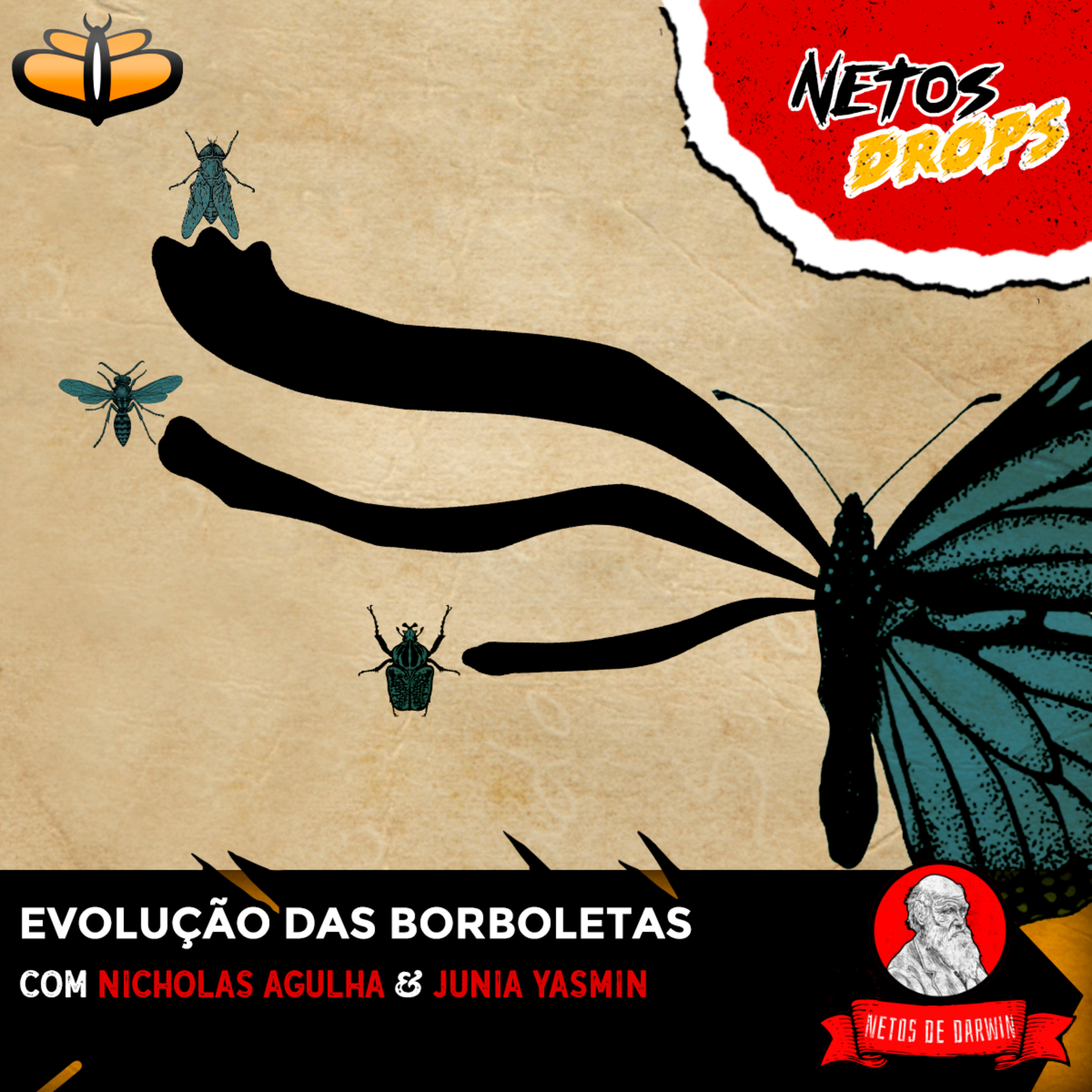 Netos de Darwin