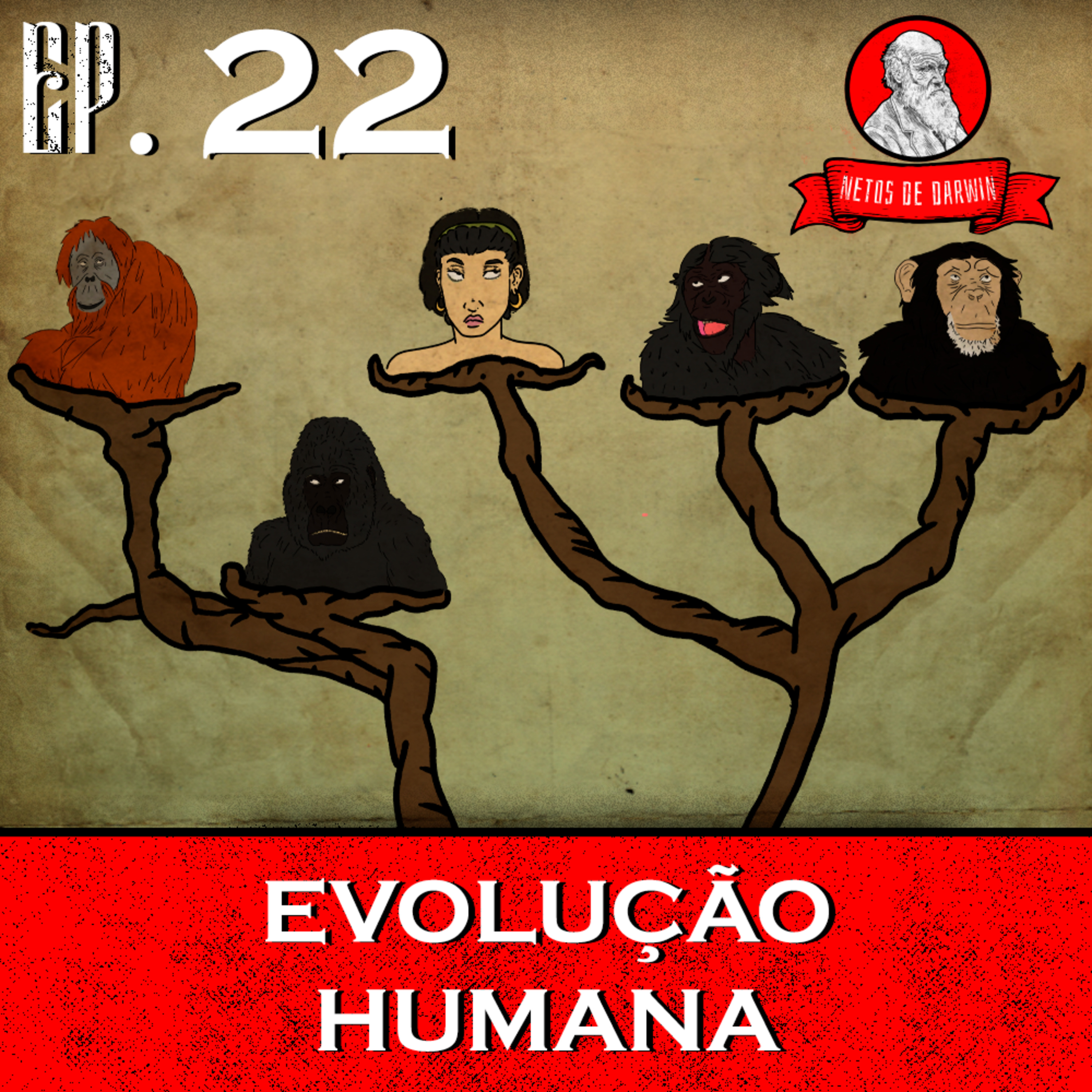 Netos de Darwin