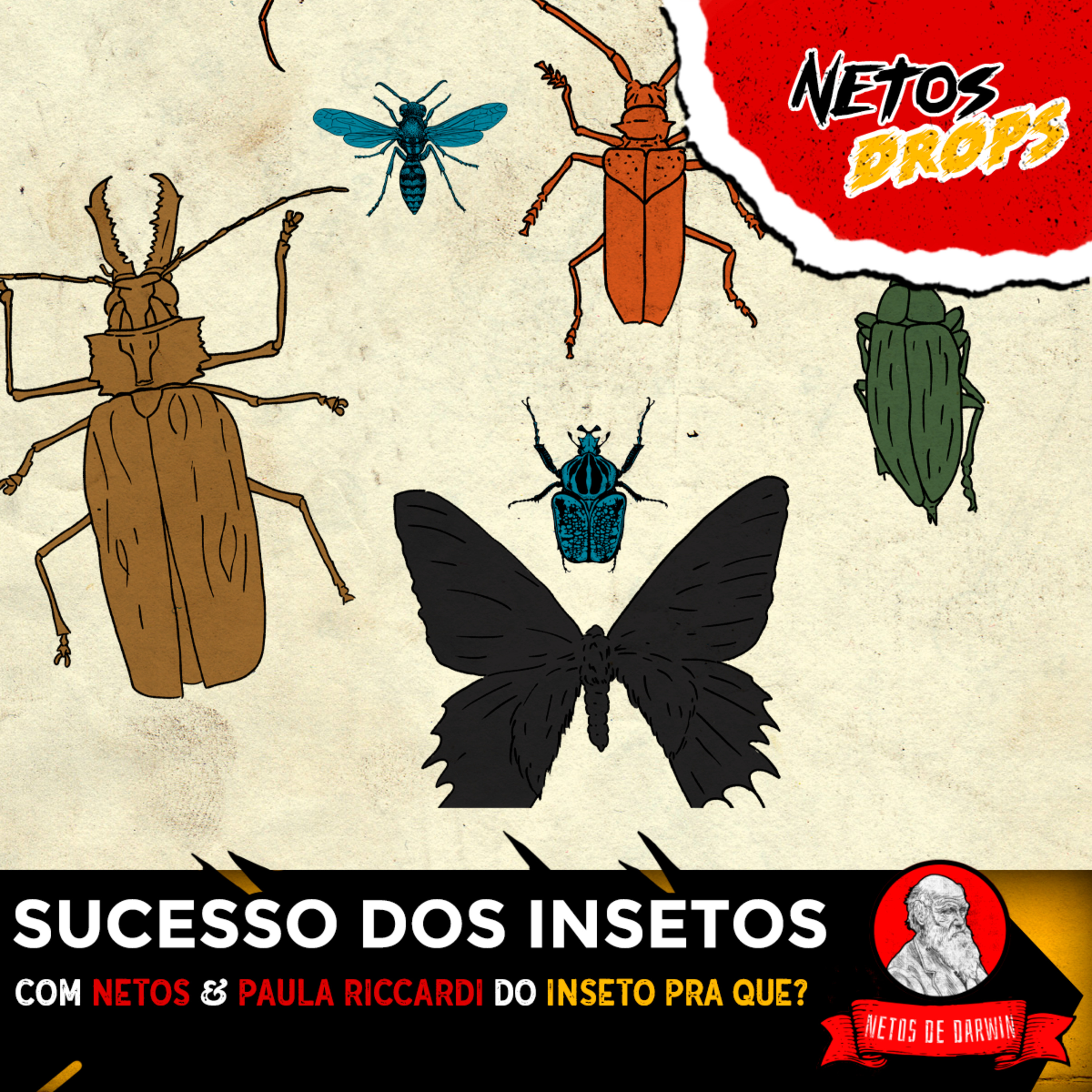 Netos de Darwin