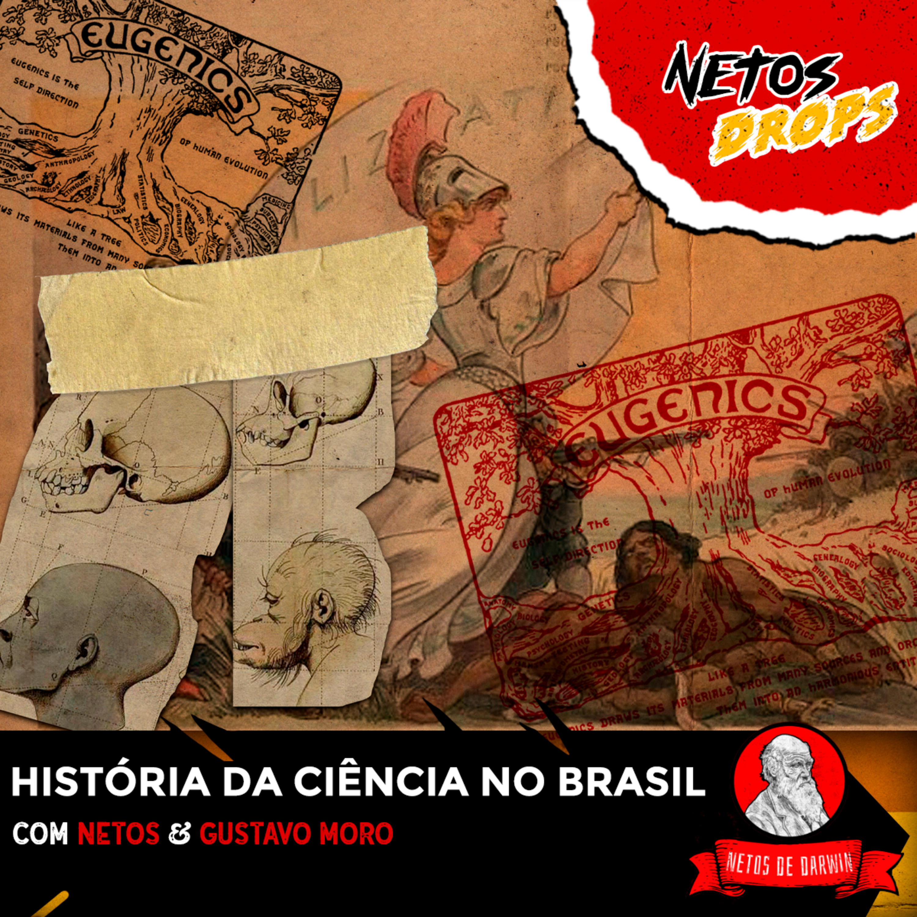 Netos de Darwin