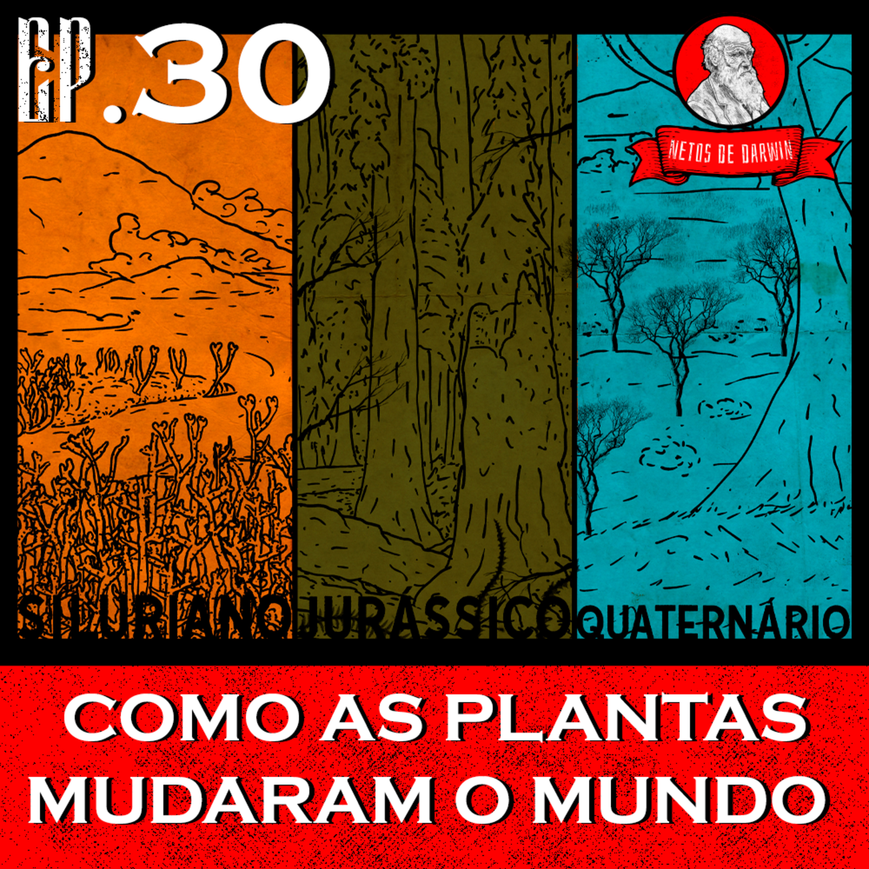 Netos de Darwin