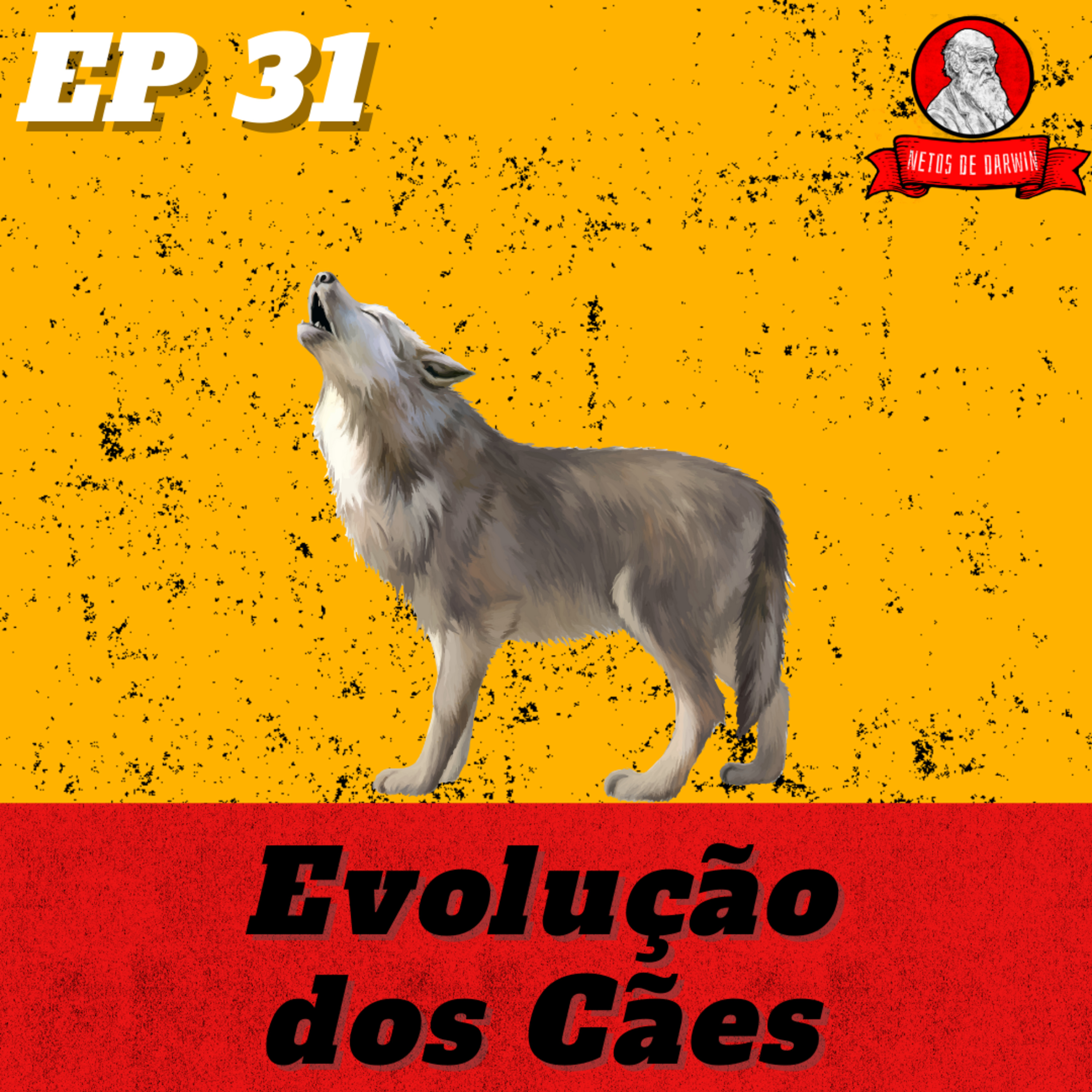 Netos de Darwin