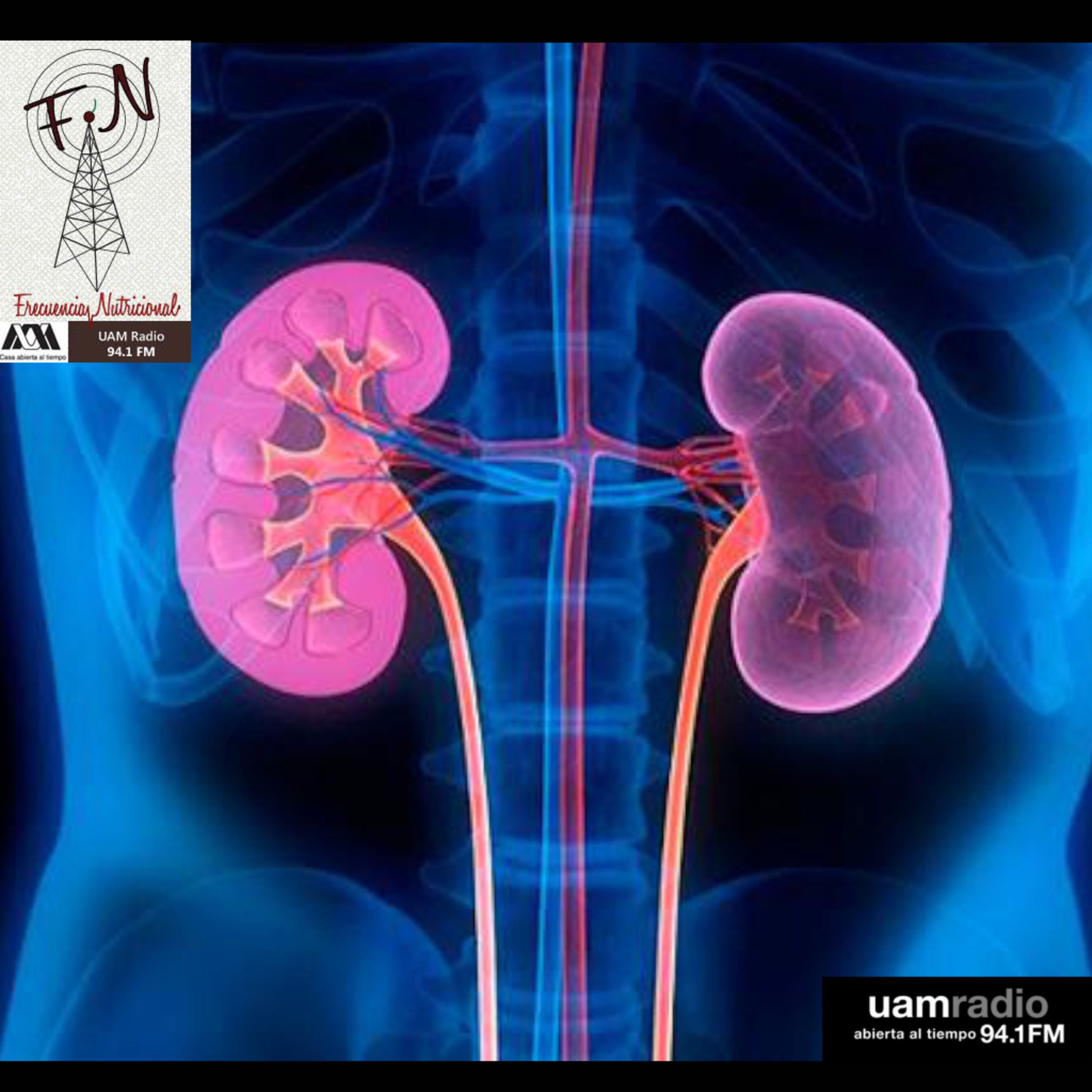 FRECUENCIA NUTRICIONAL