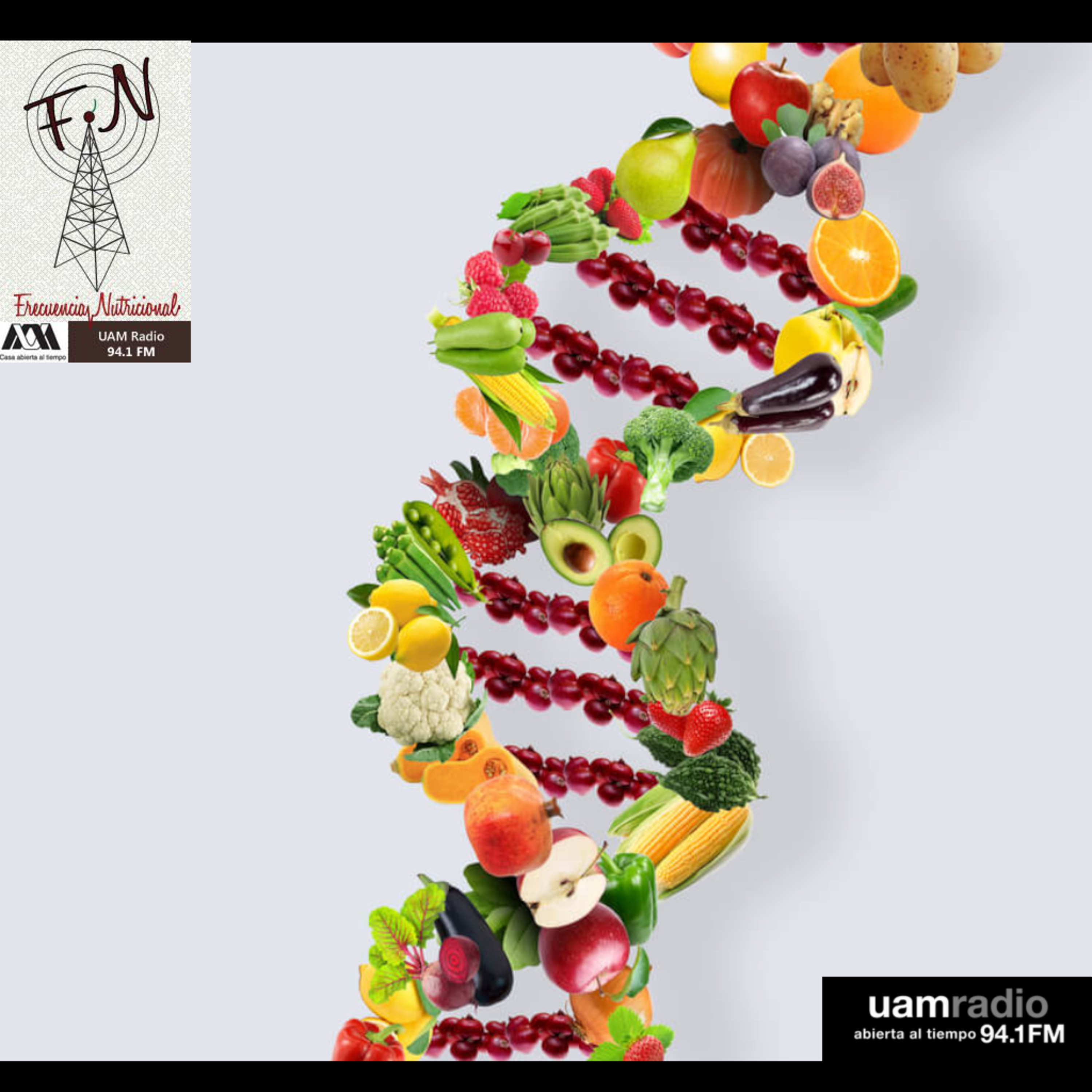 FRECUENCIA NUTRICIONAL