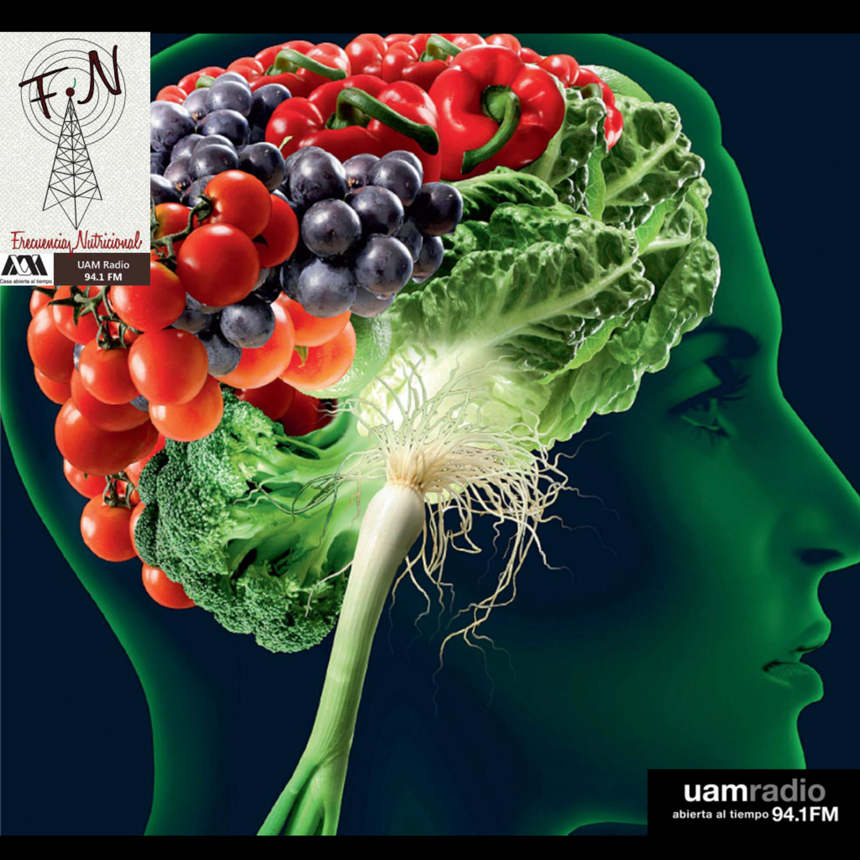 Portada de FRECUENCIA NUTRICIONAL