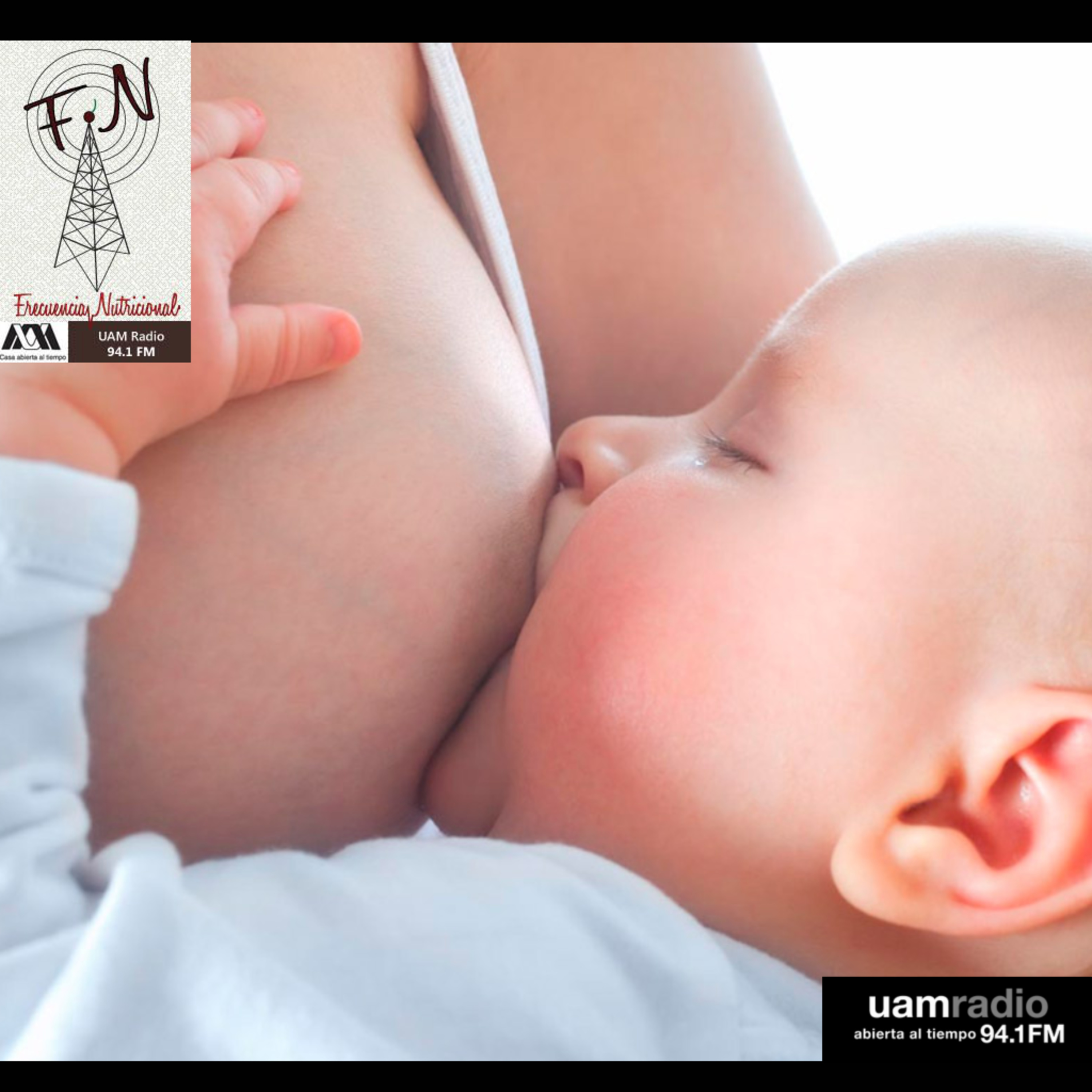 Portada de FRECUENCIA NUTRICIONAL