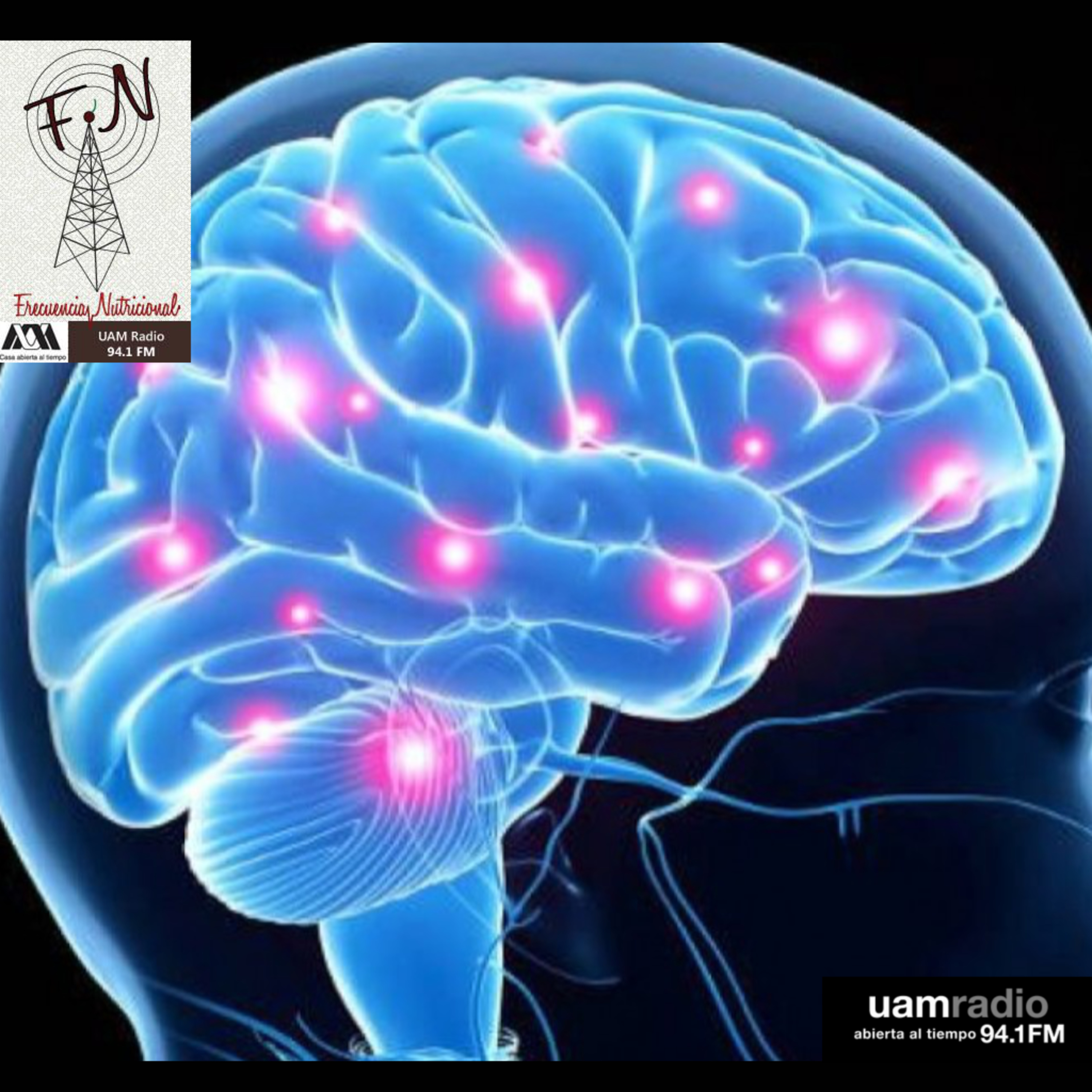 TEMA: Dieta y efecto cognitivo INVITADO: Dr. Gustavo Pacheco López PROGRAMA: 209
