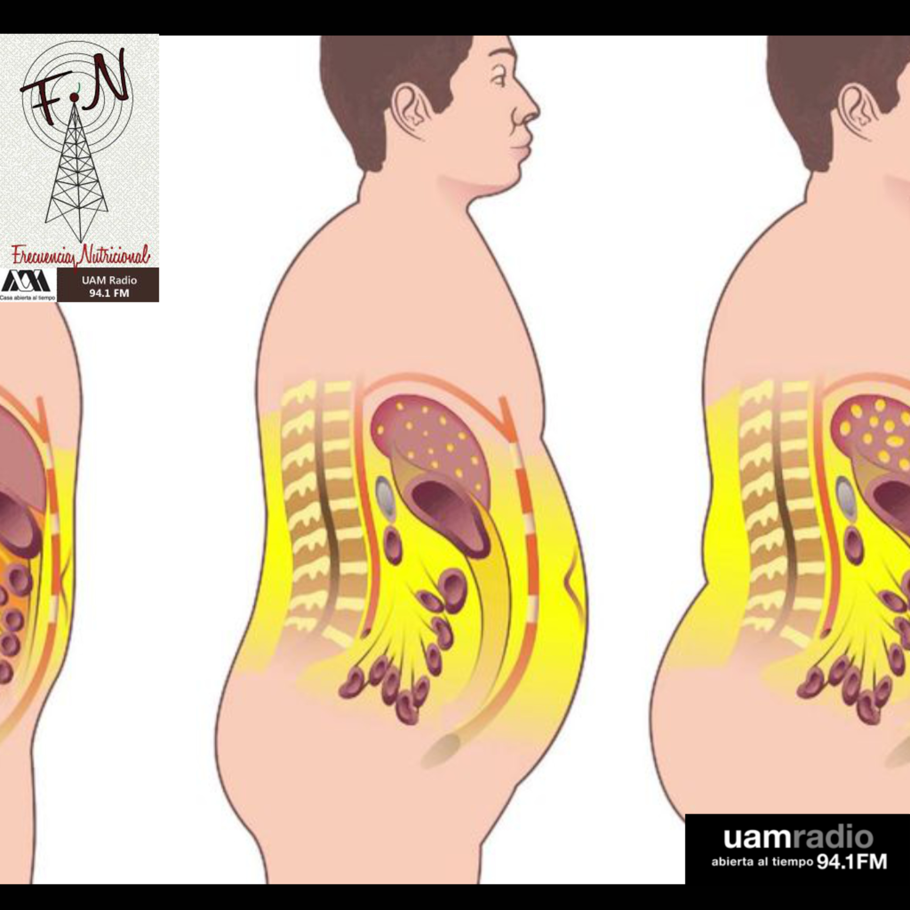 Portada de FRECUENCIA NUTRICIONAL