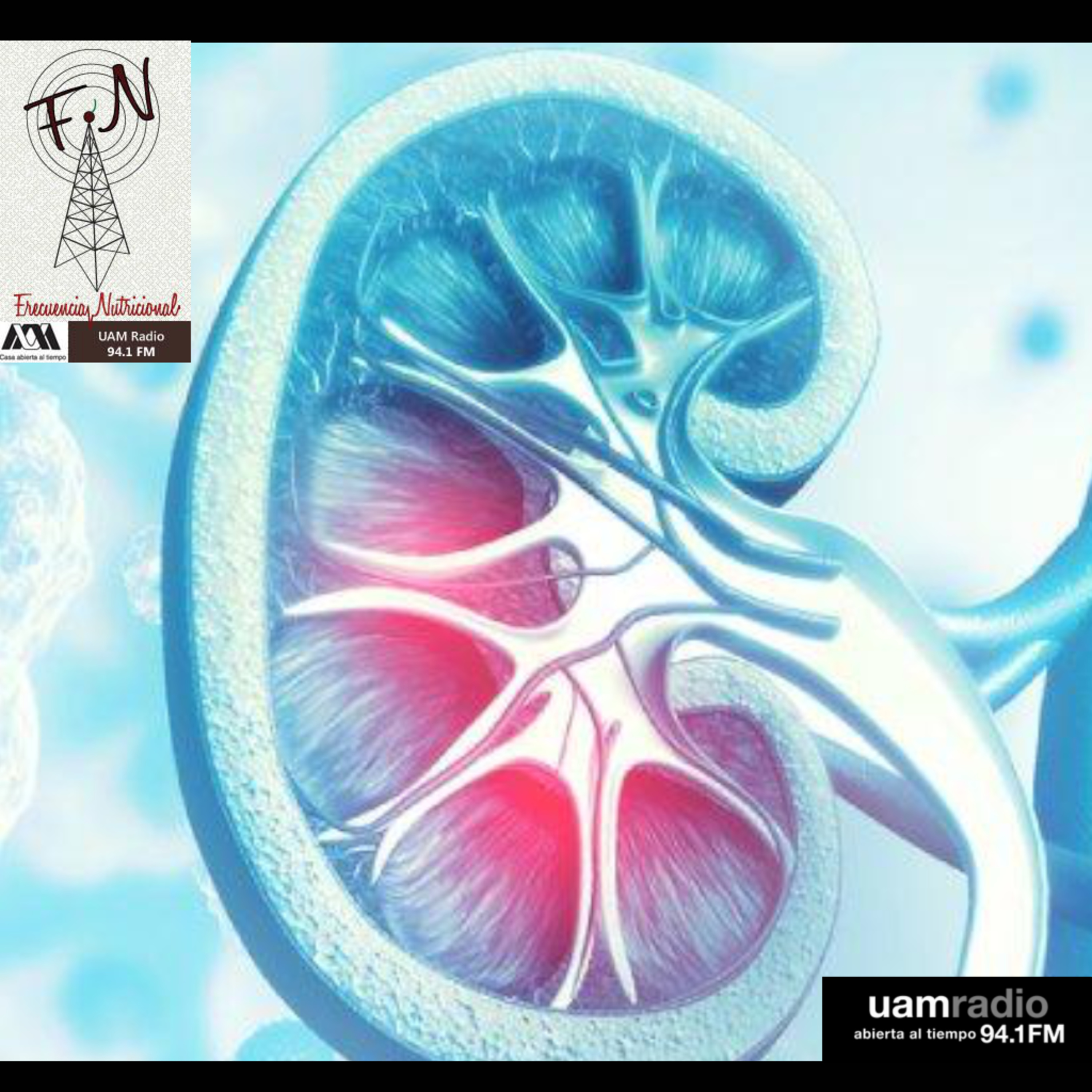Portada de FRECUENCIA NUTRICIONAL